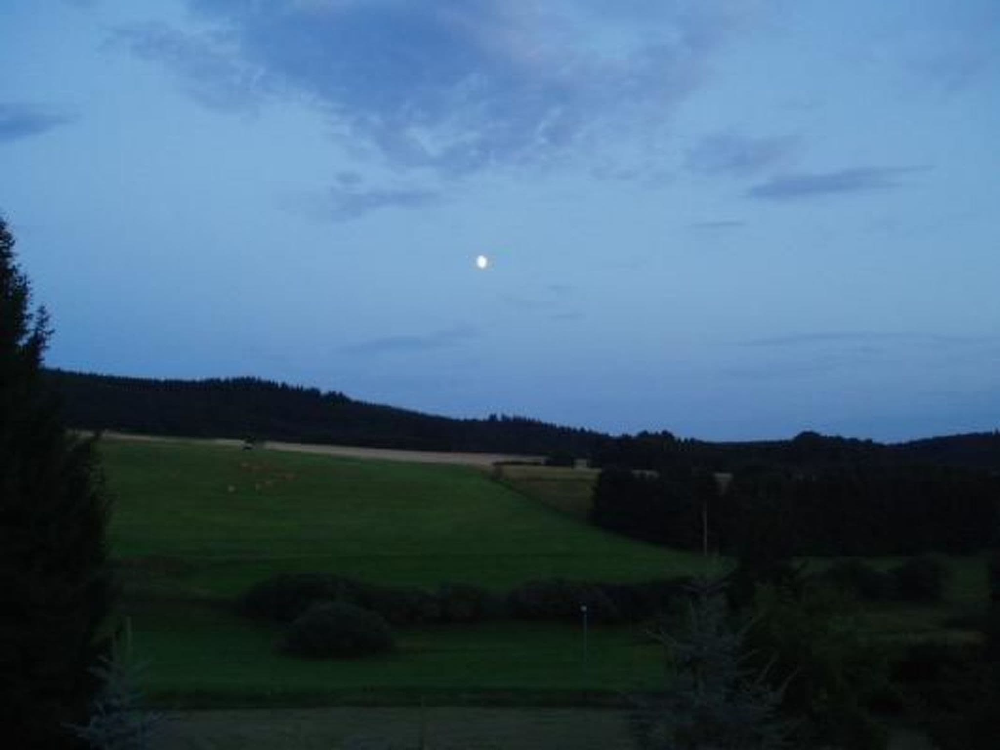Gallery Image 16