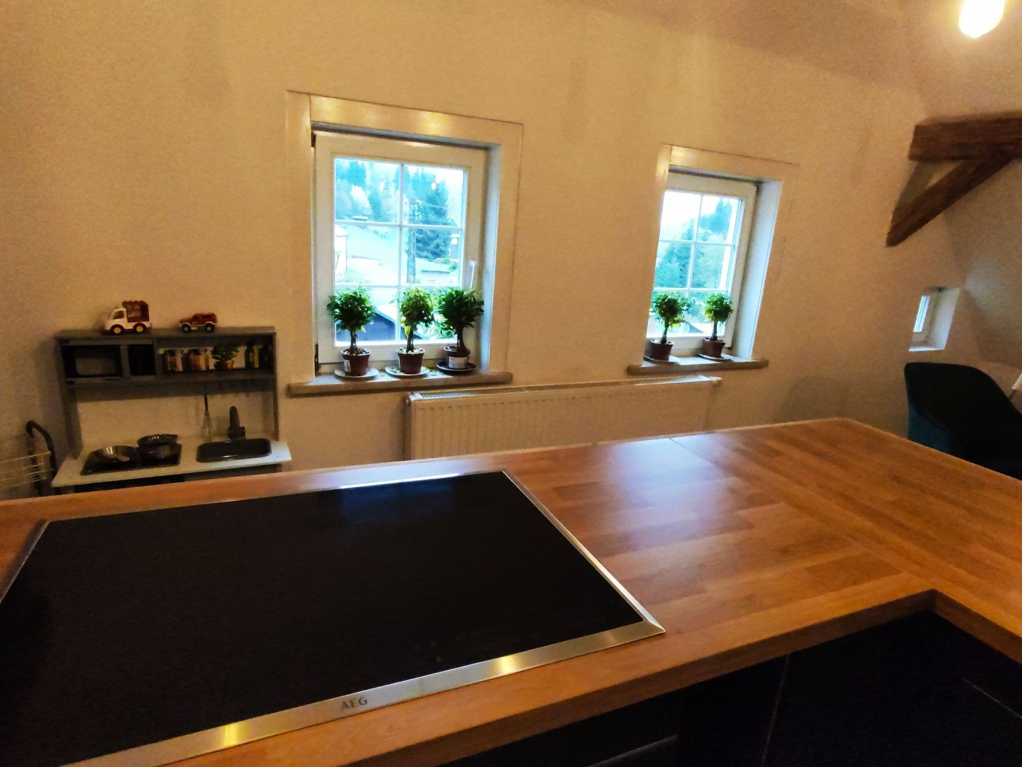 Kitchen / Dining Room