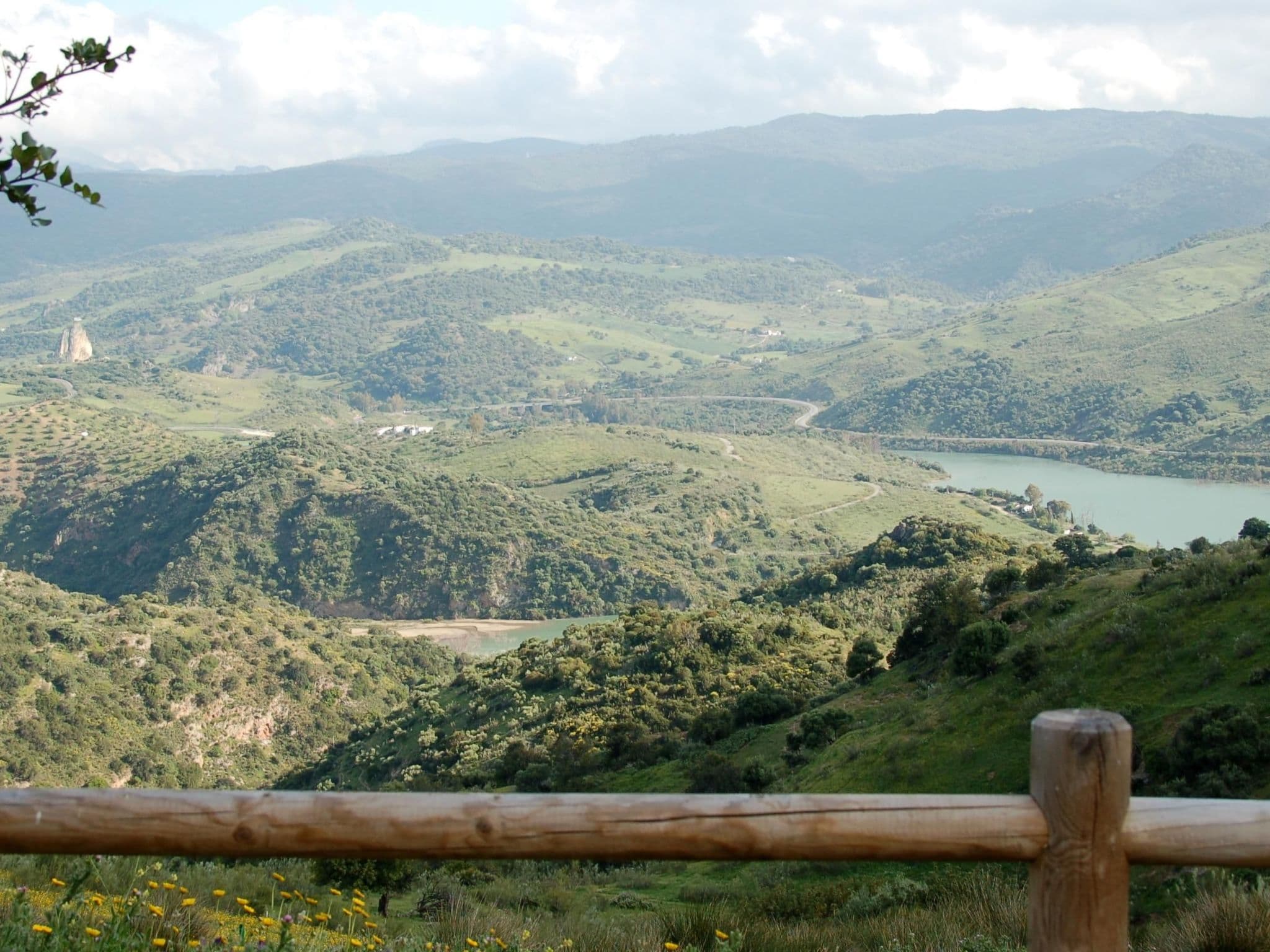 View