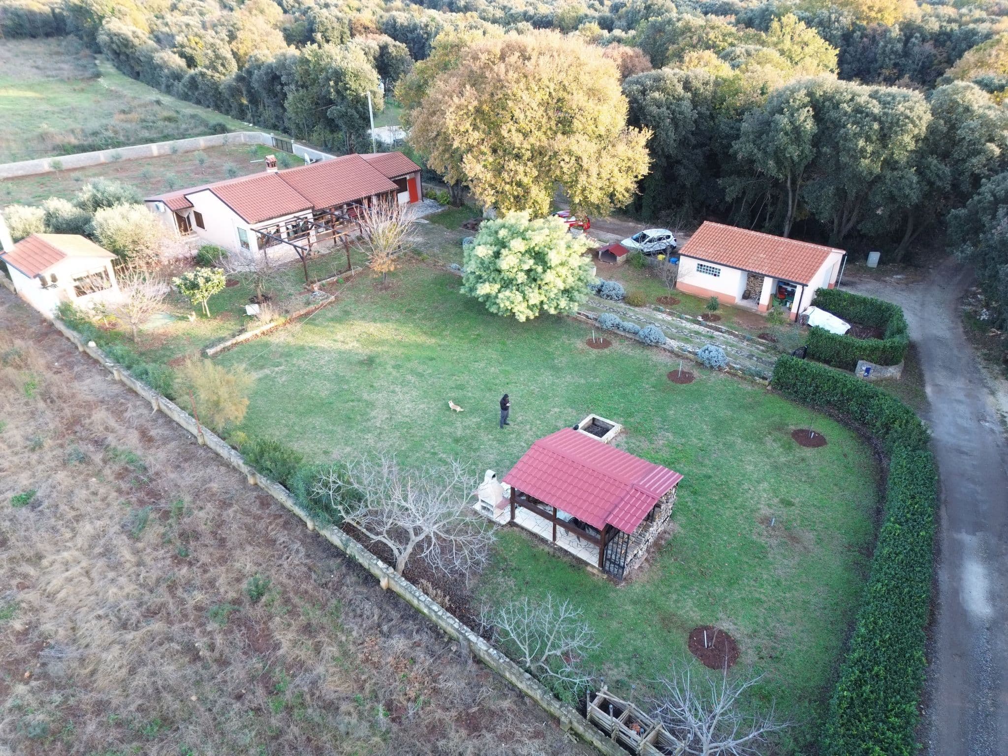 Aerial photography
