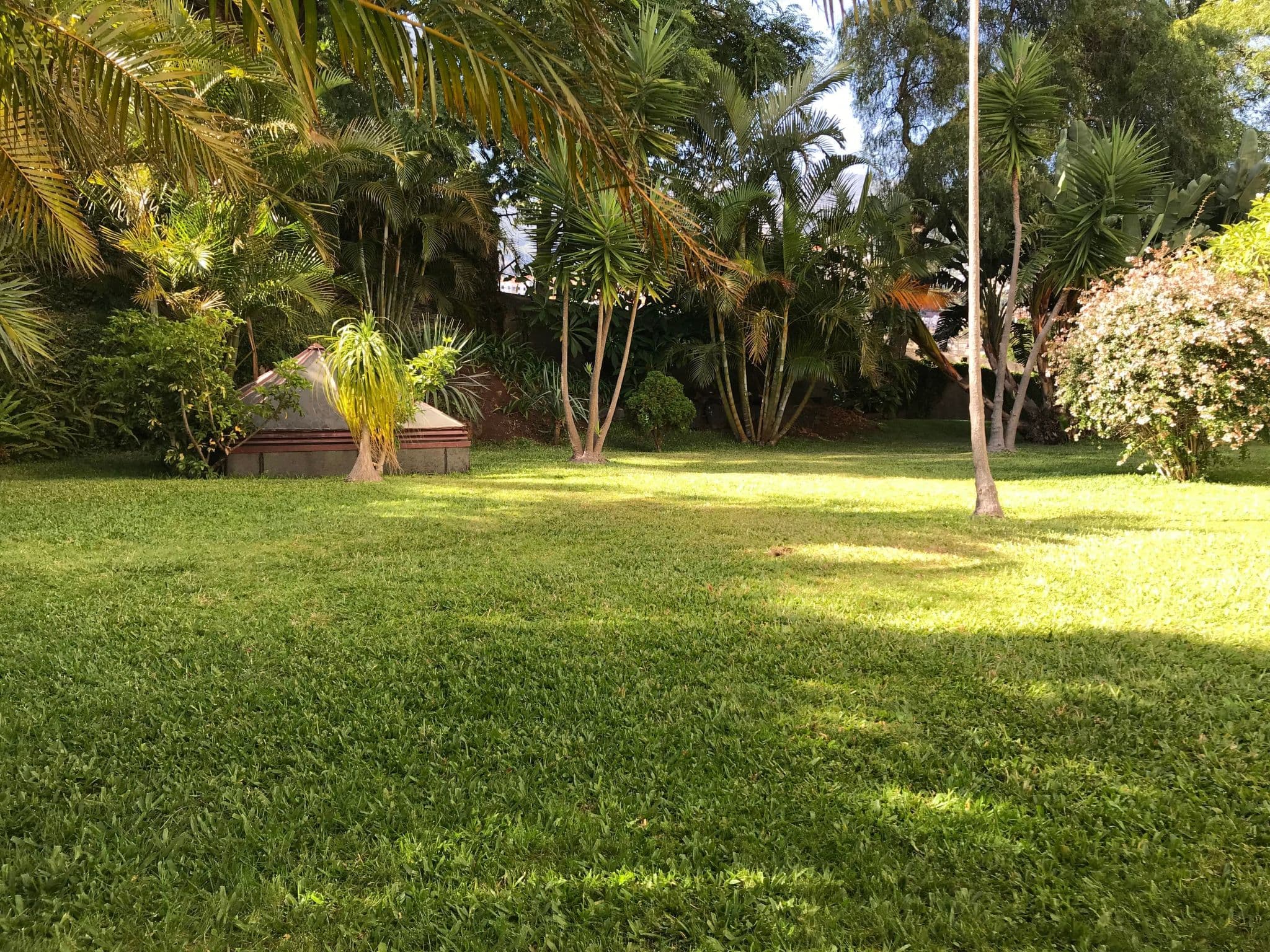 Gallery Image 12