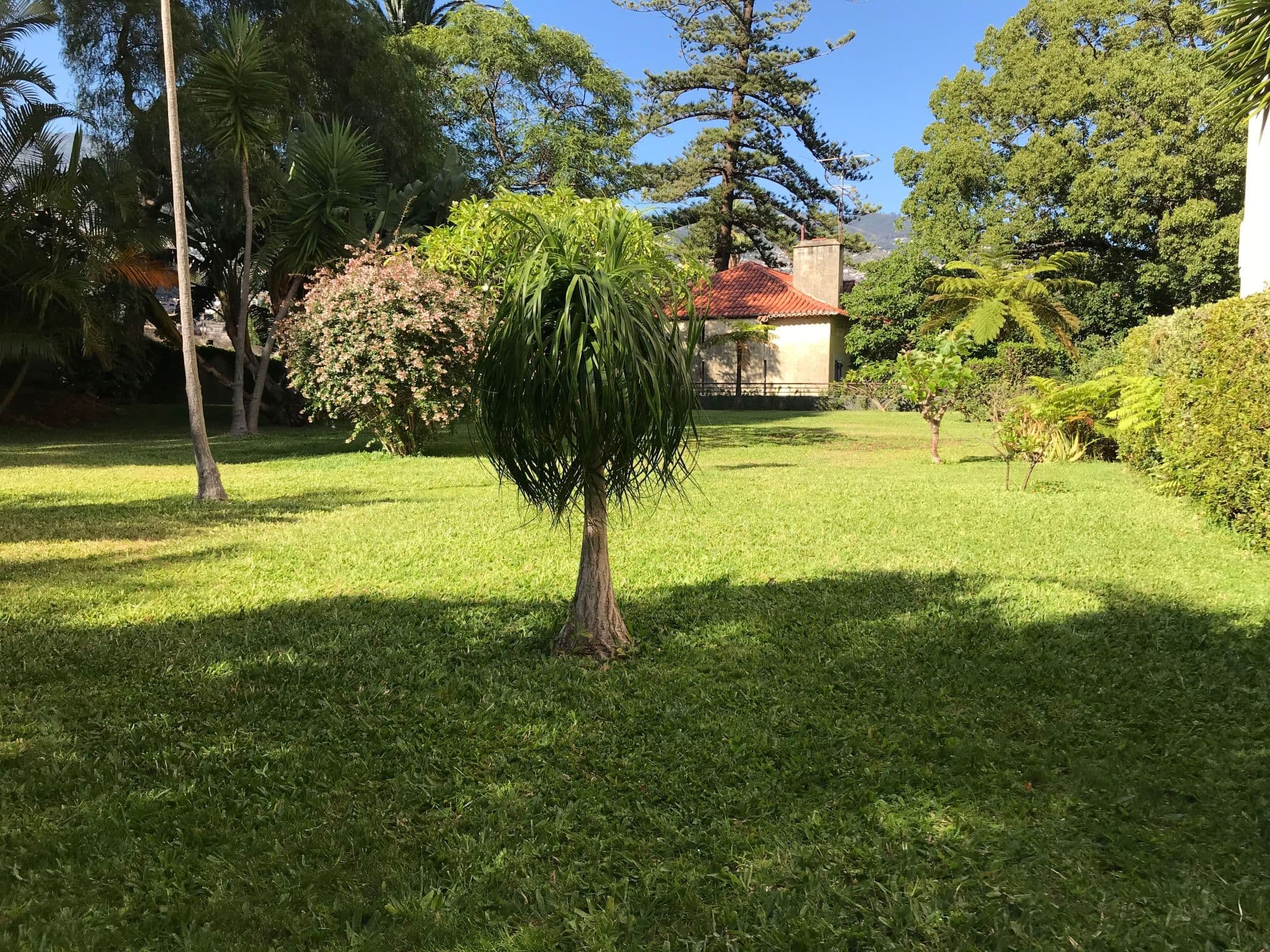 Gallery Image 13