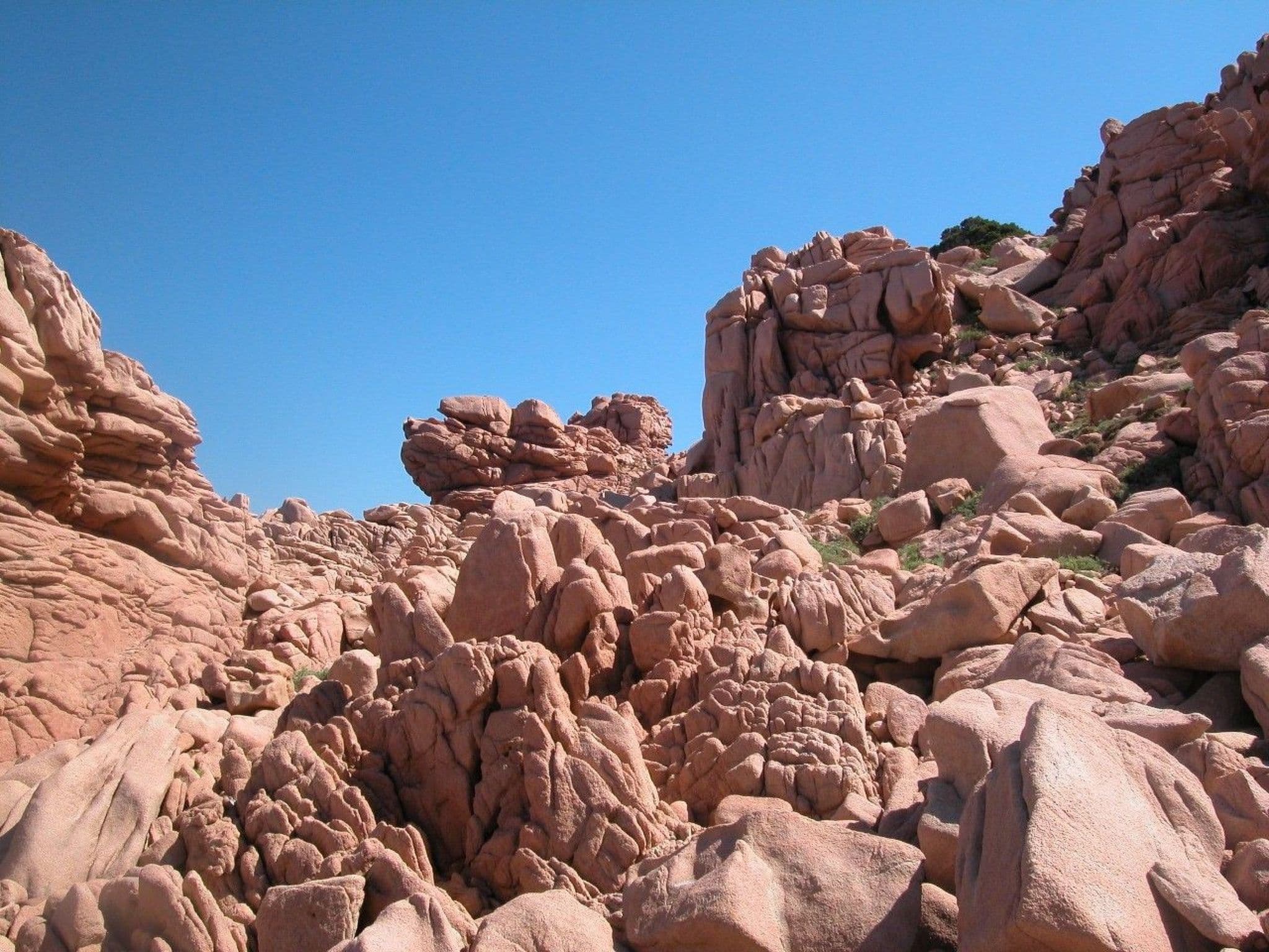 Gallery Image 25