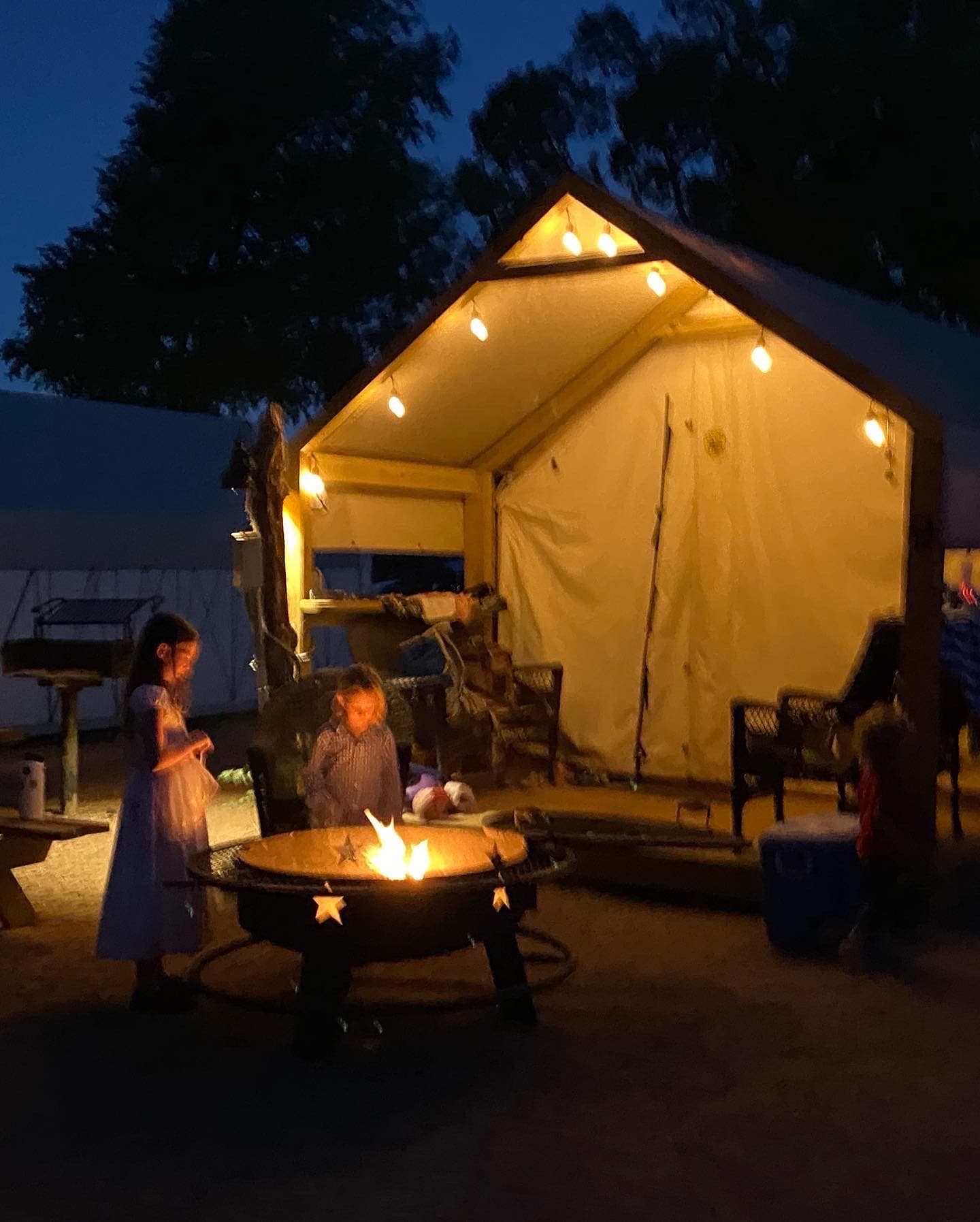 Each cabin has it's own firepit.