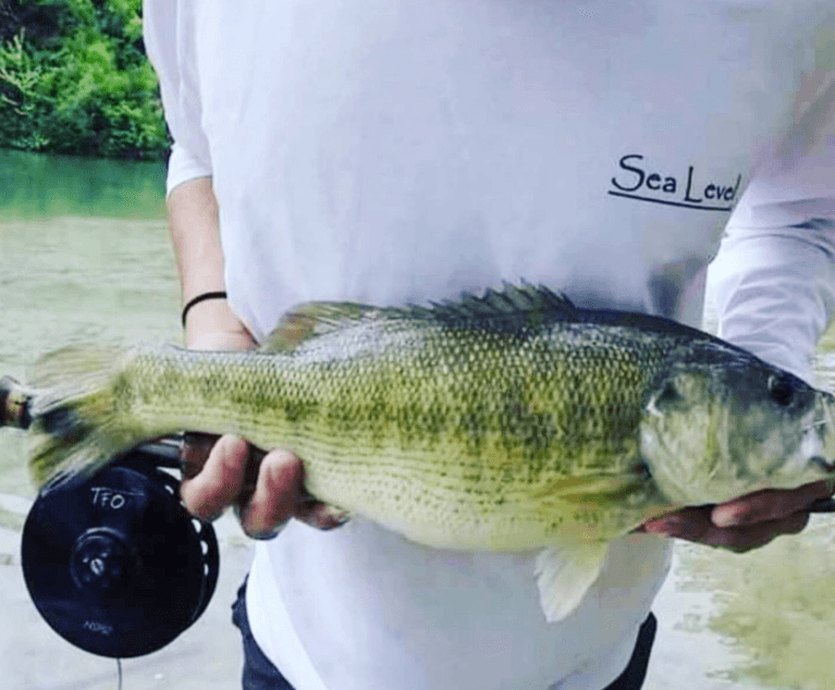 The San Marcos River has excellent fishing!