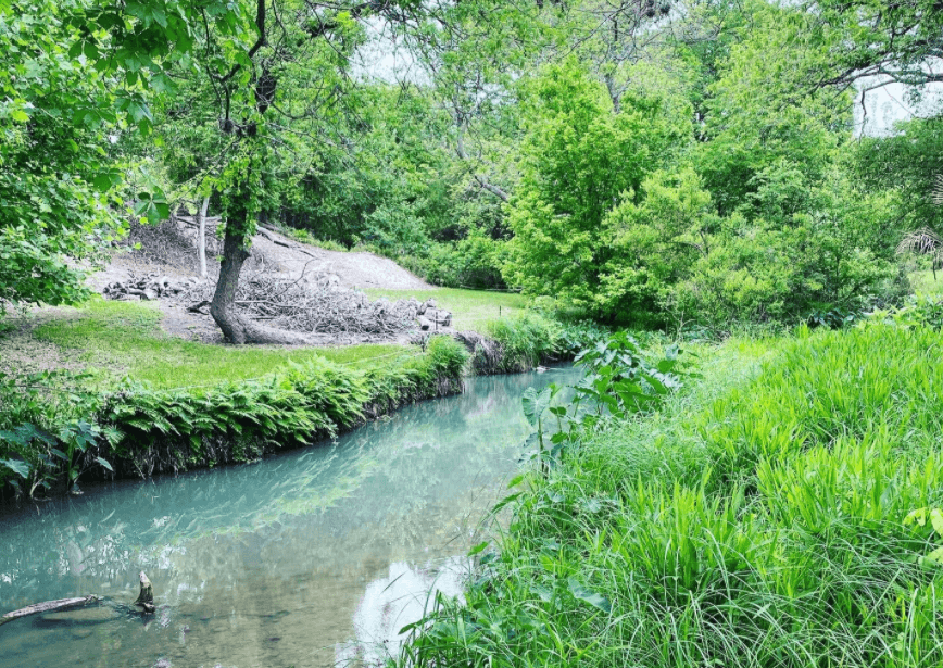 Geronimo Creek is a beautiful Spring-fed Creek.