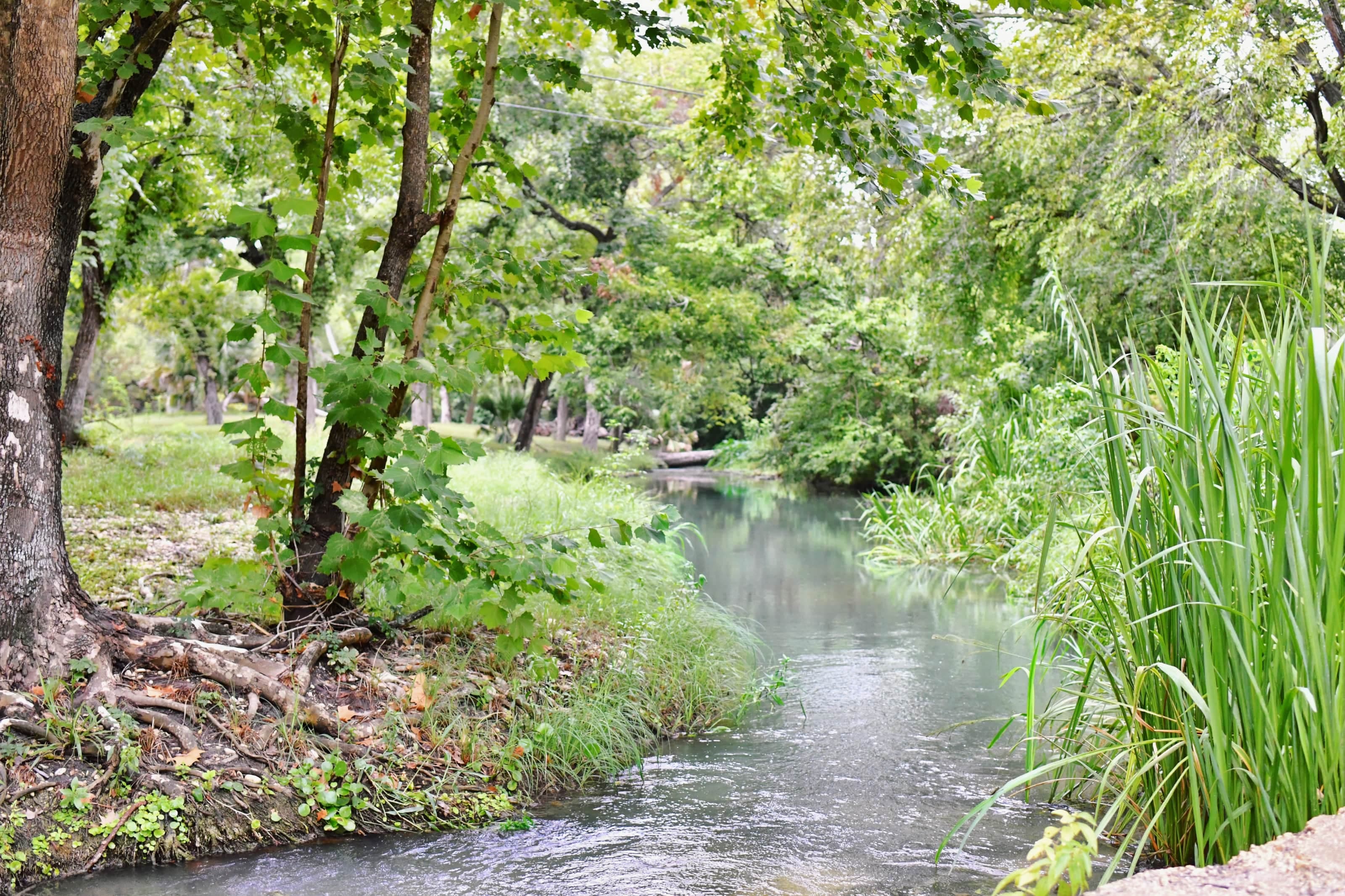 Son's Geronimo has 1_2 mile of Geronimo Creek frontage to explore