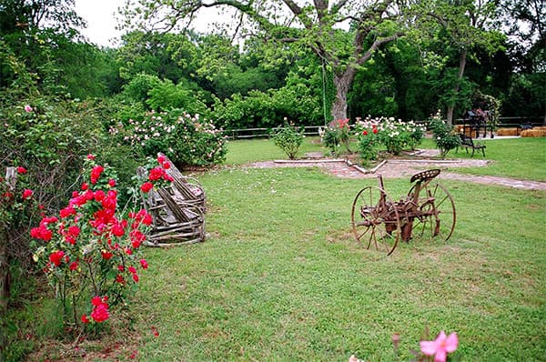 Beautiful garden