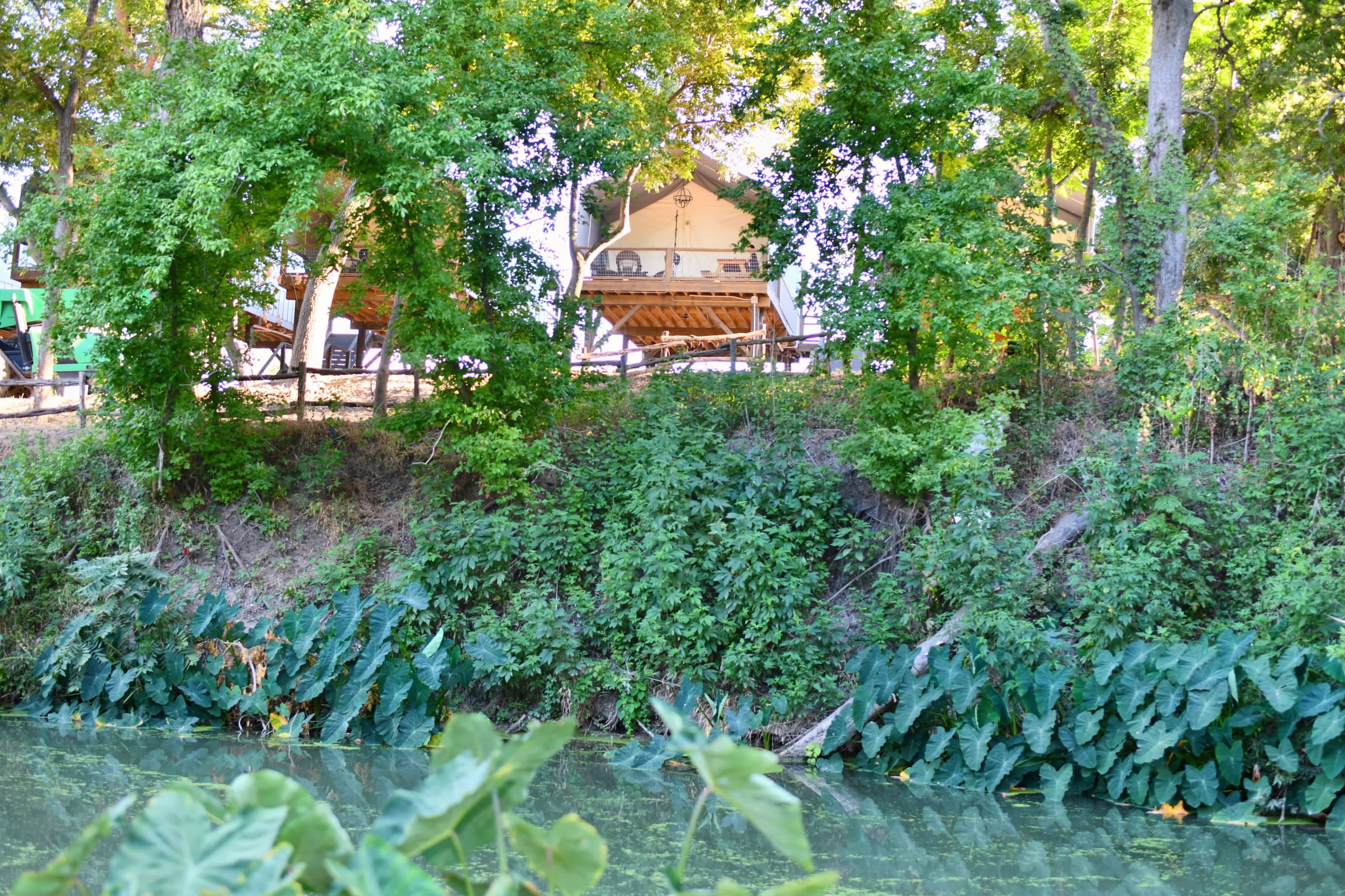 Relax and Overlook the Beautiful Spring fed Creek