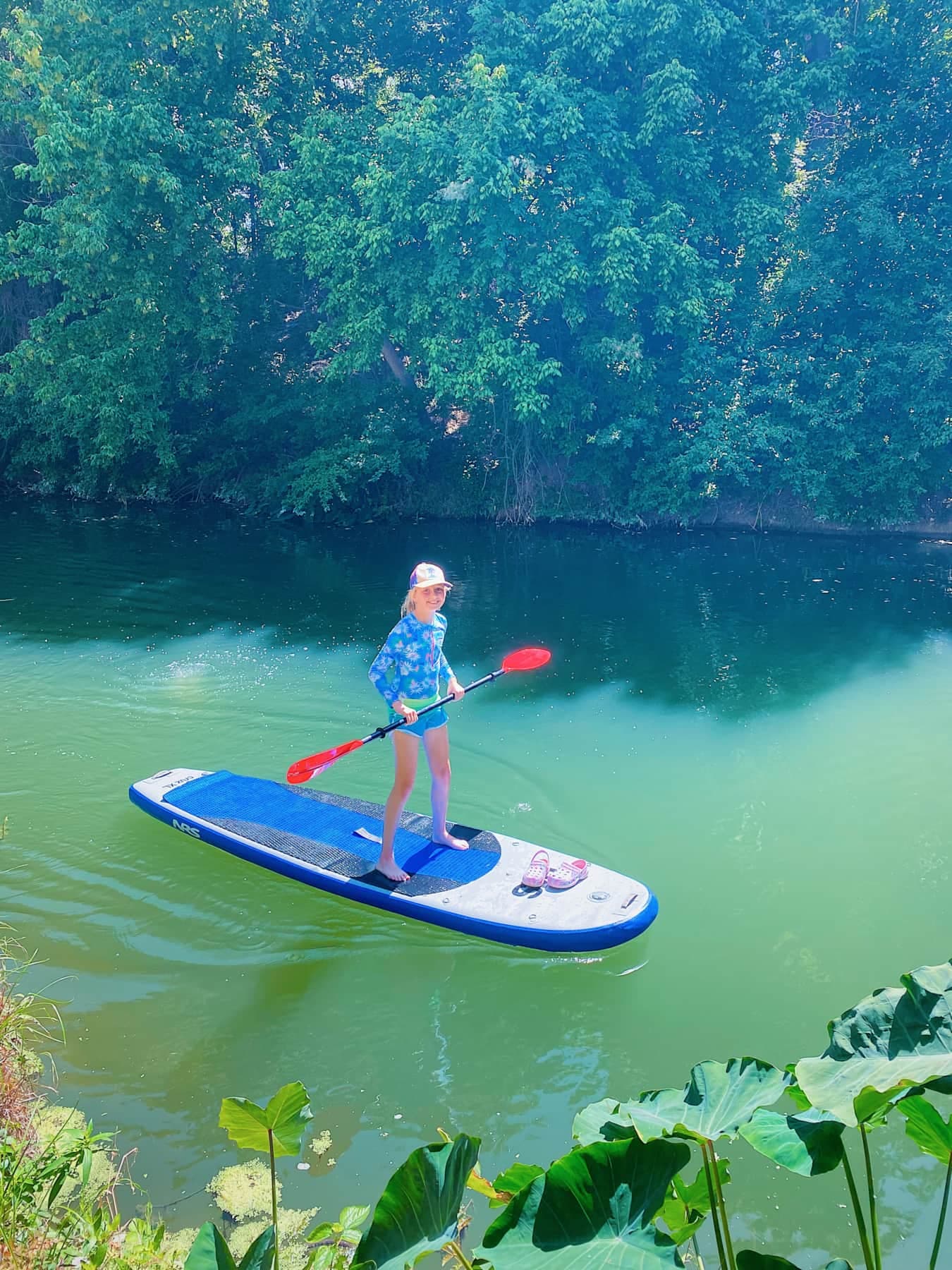 We also have Paddle Boards!