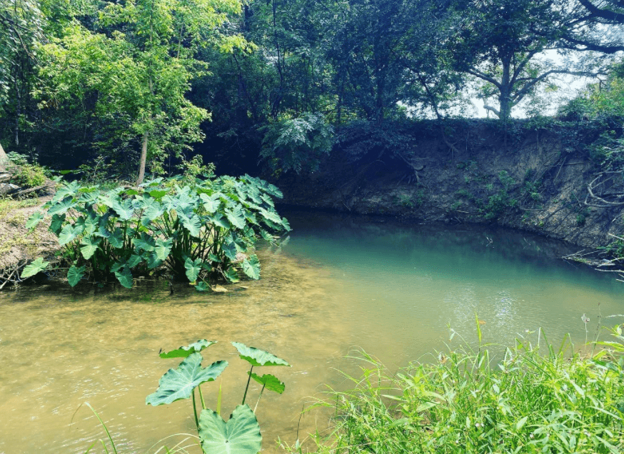 There are a lot of cool, hidden spots at Son's Rio Cibolo Ranch!