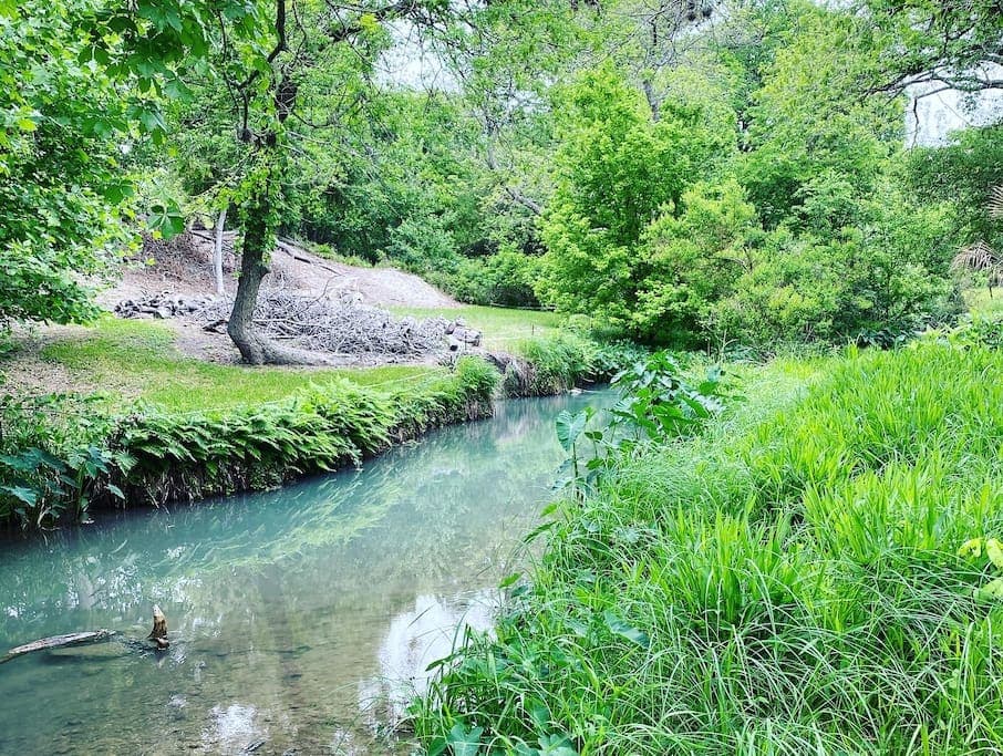 Geronimo Creek is a beautiful Spring-fed Creek.
