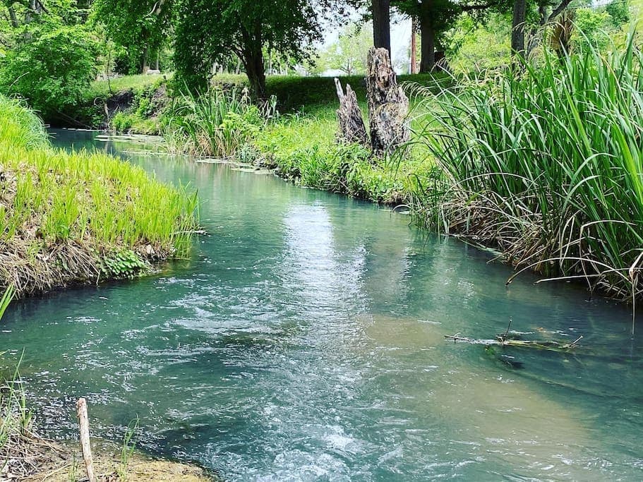 Just below the low water crossing is great place to fish!