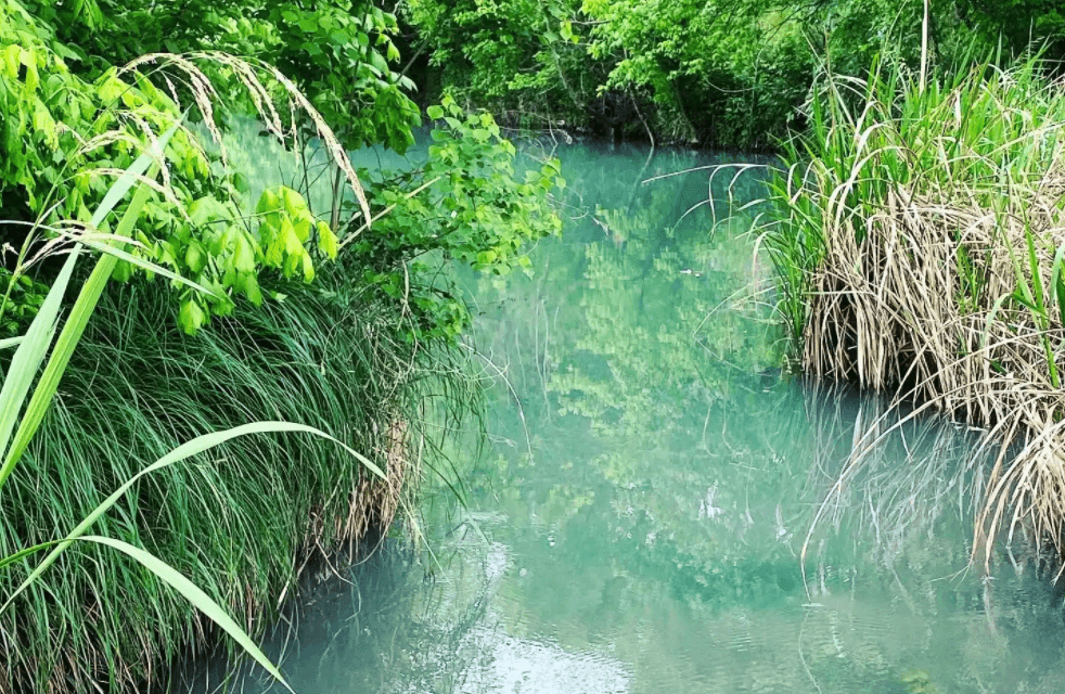 Geronimo Creek is a beautiful Spring-fed Creek.