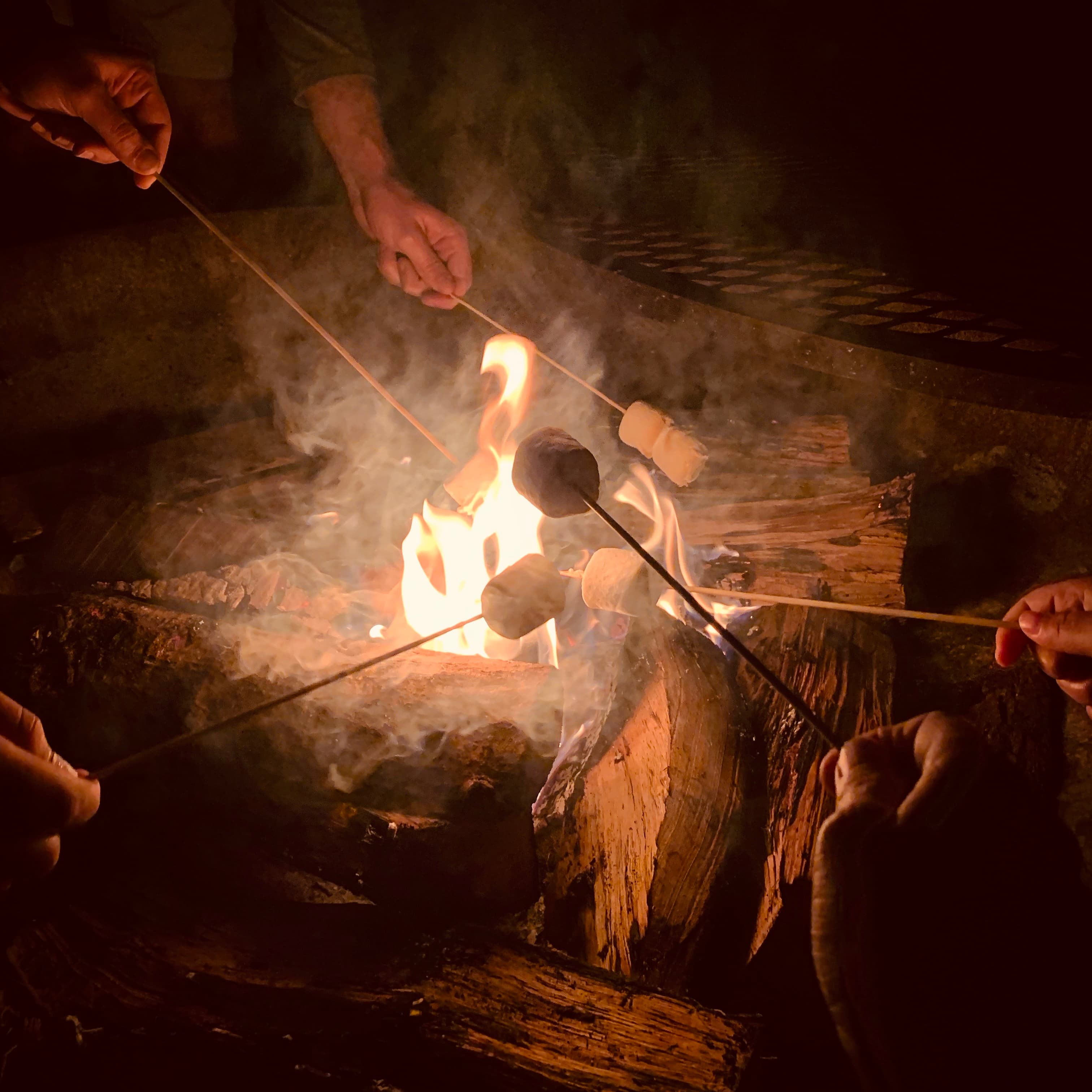 Roast Marshmellows