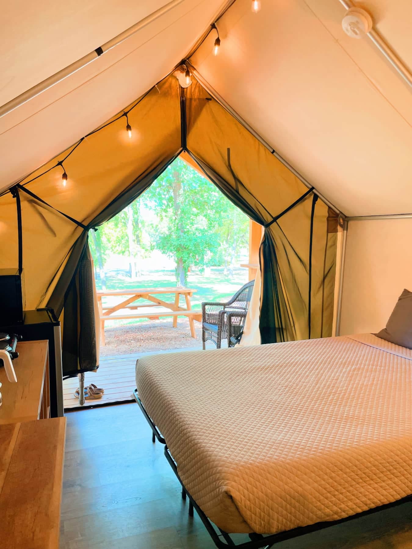 View inside tent