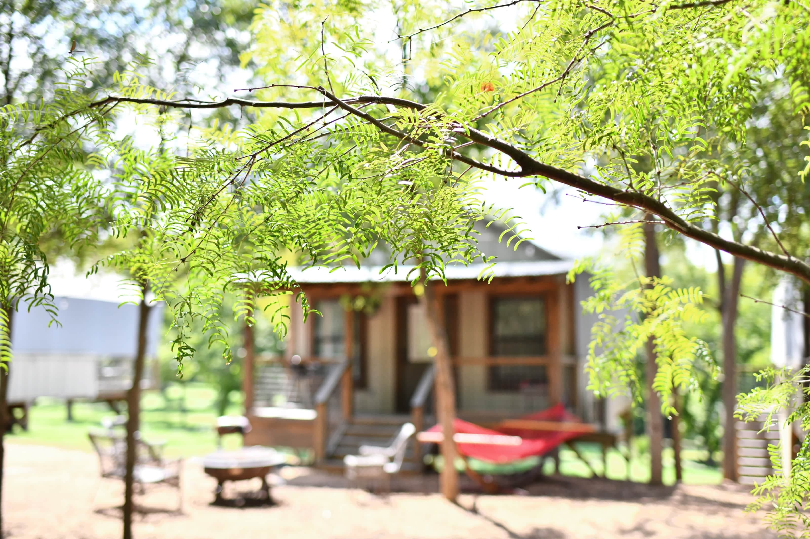 Son's Geronimo Cabin on Creek