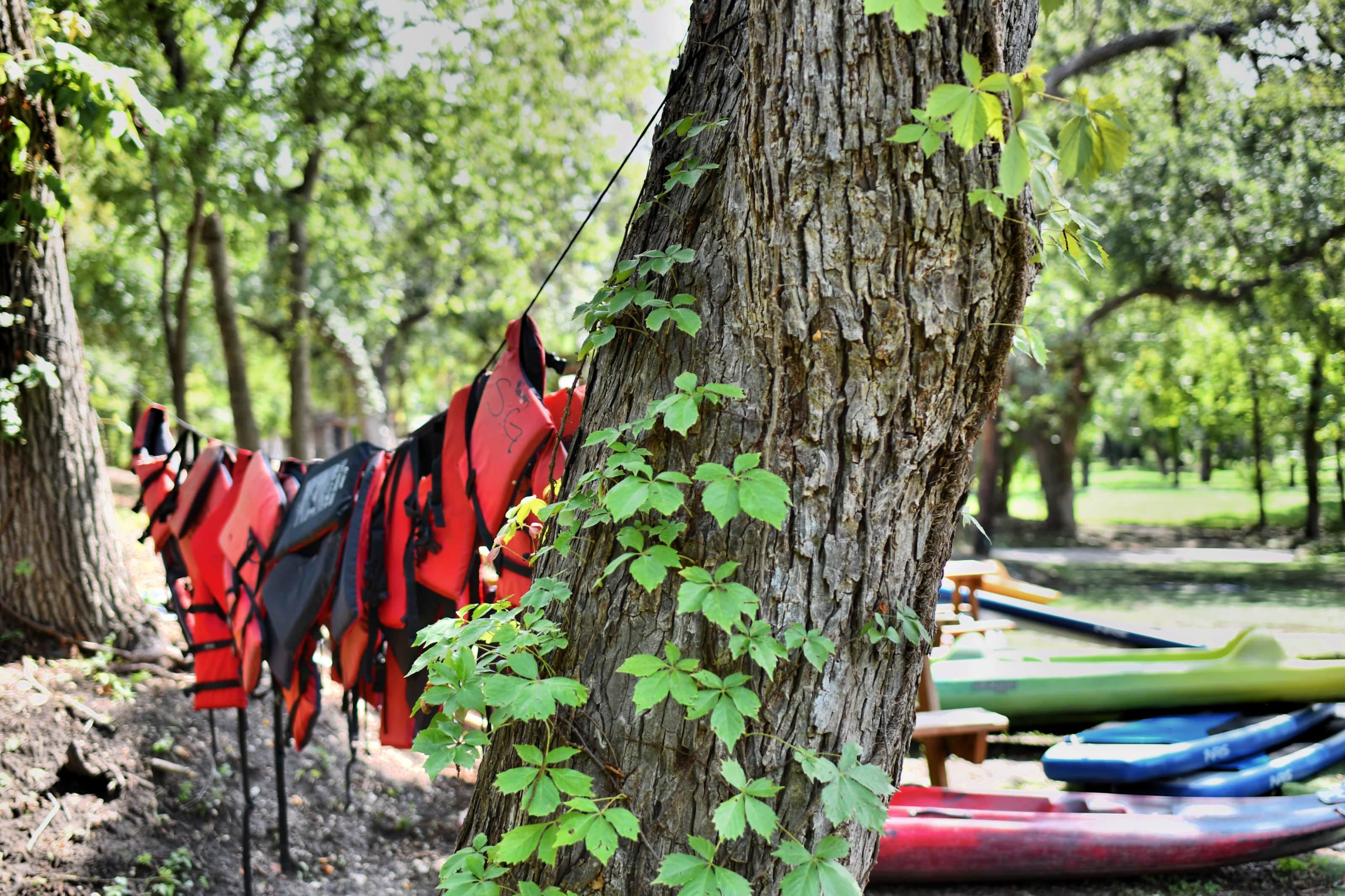 Life jackets are provided for guests to use, free of charge and are recommended for weak swimmers