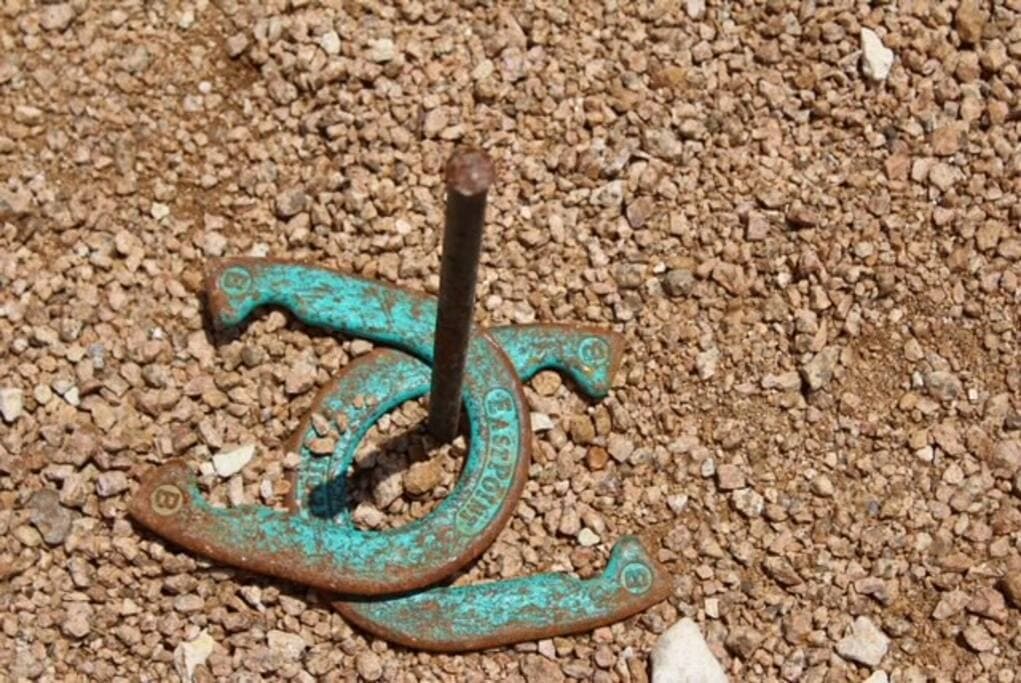 Horseshoes anyone?