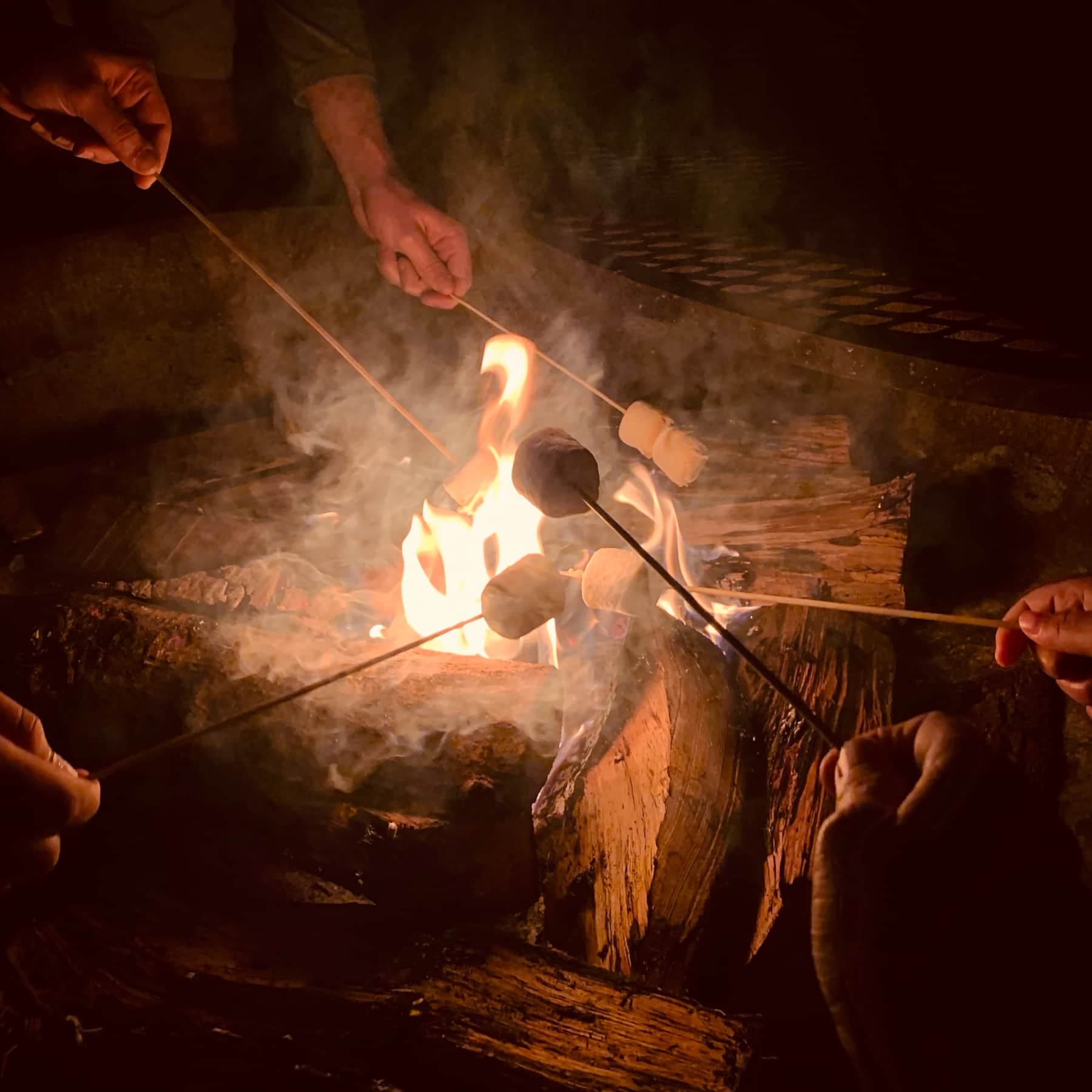 Roast Marshmellows