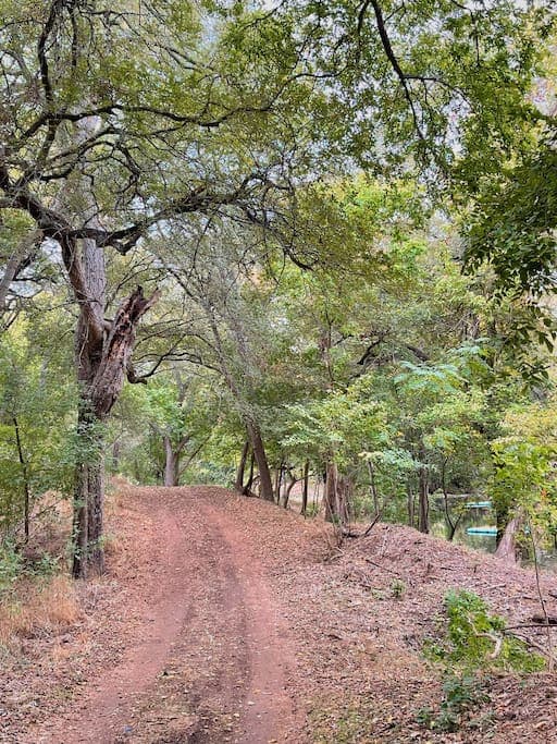 We have 2.5 miles of hiking trails!