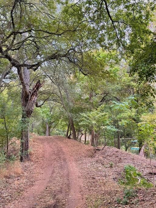 We have 2.5 miles of hiking trails!