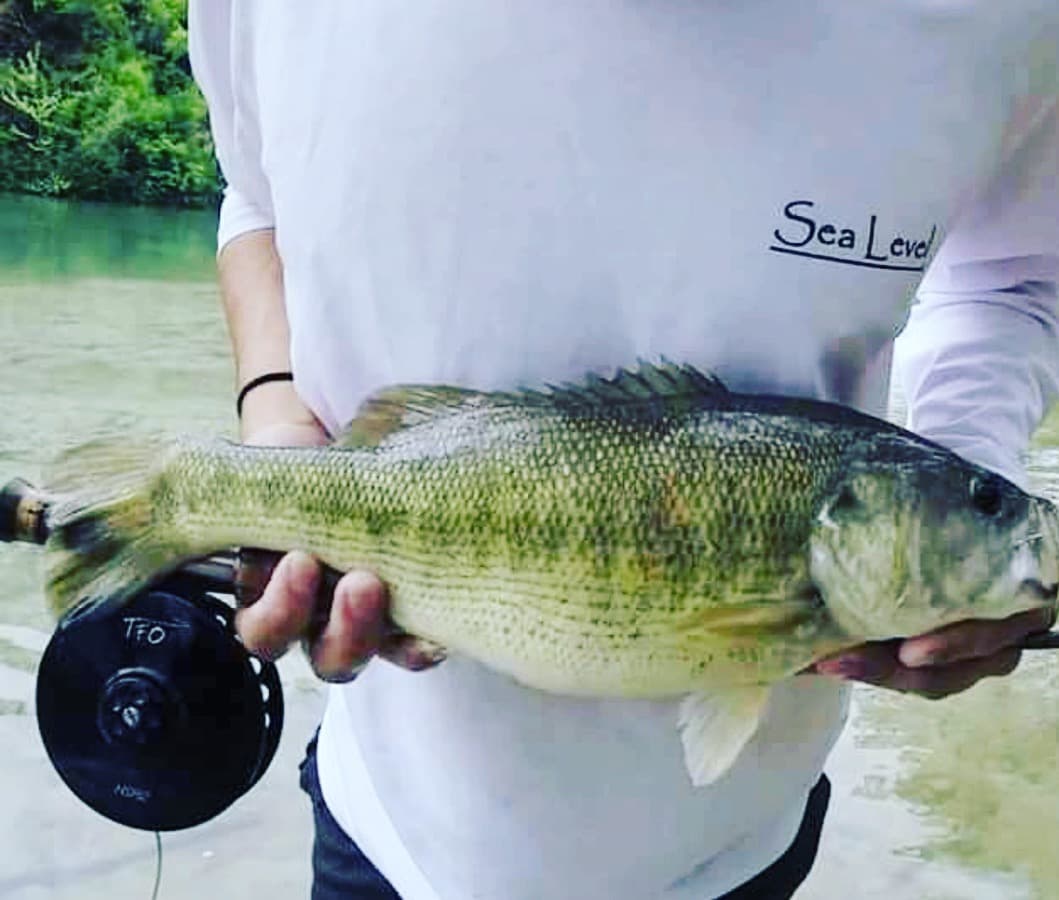 Catch some great fish in the river