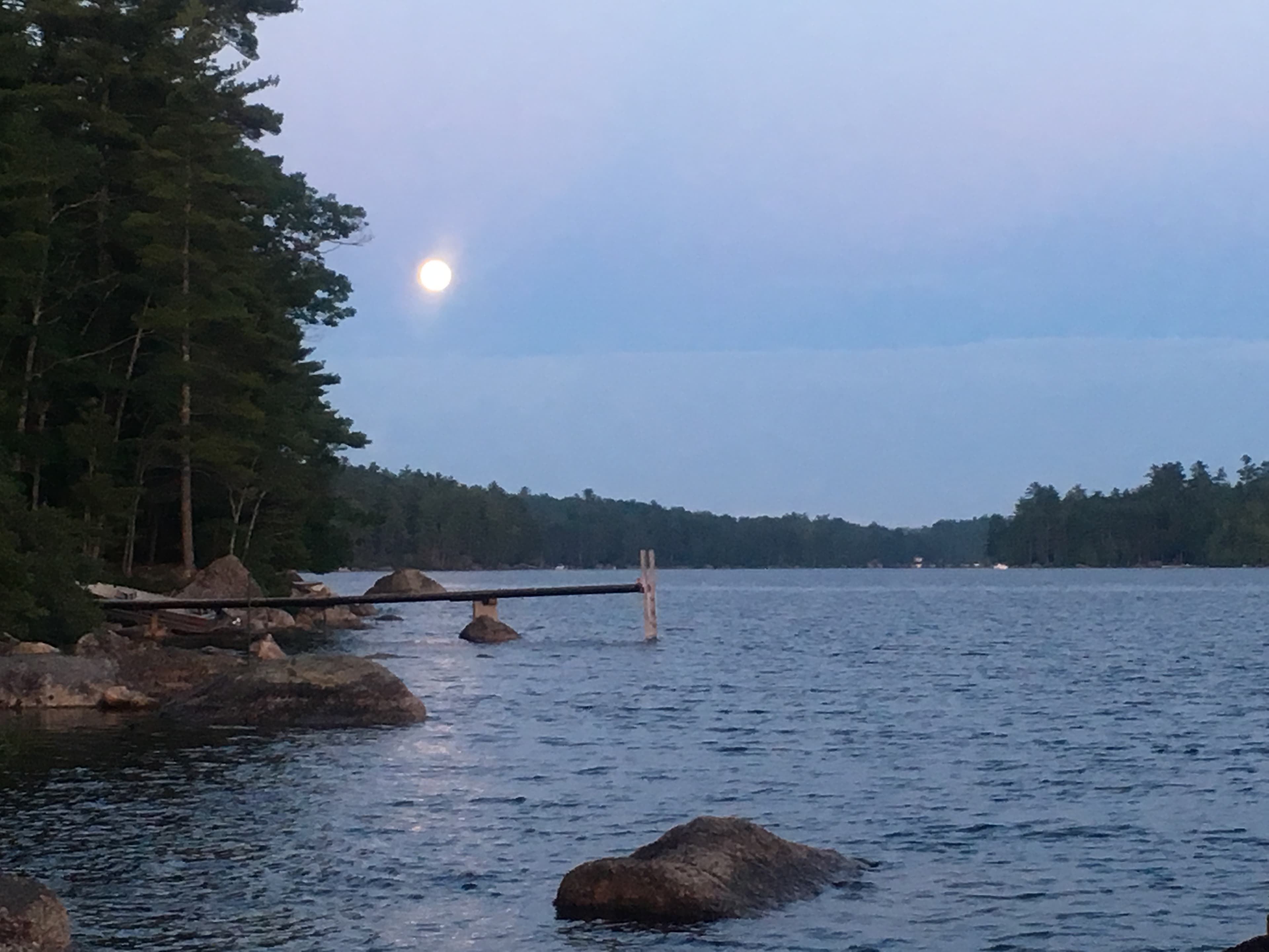 Moon lit nights