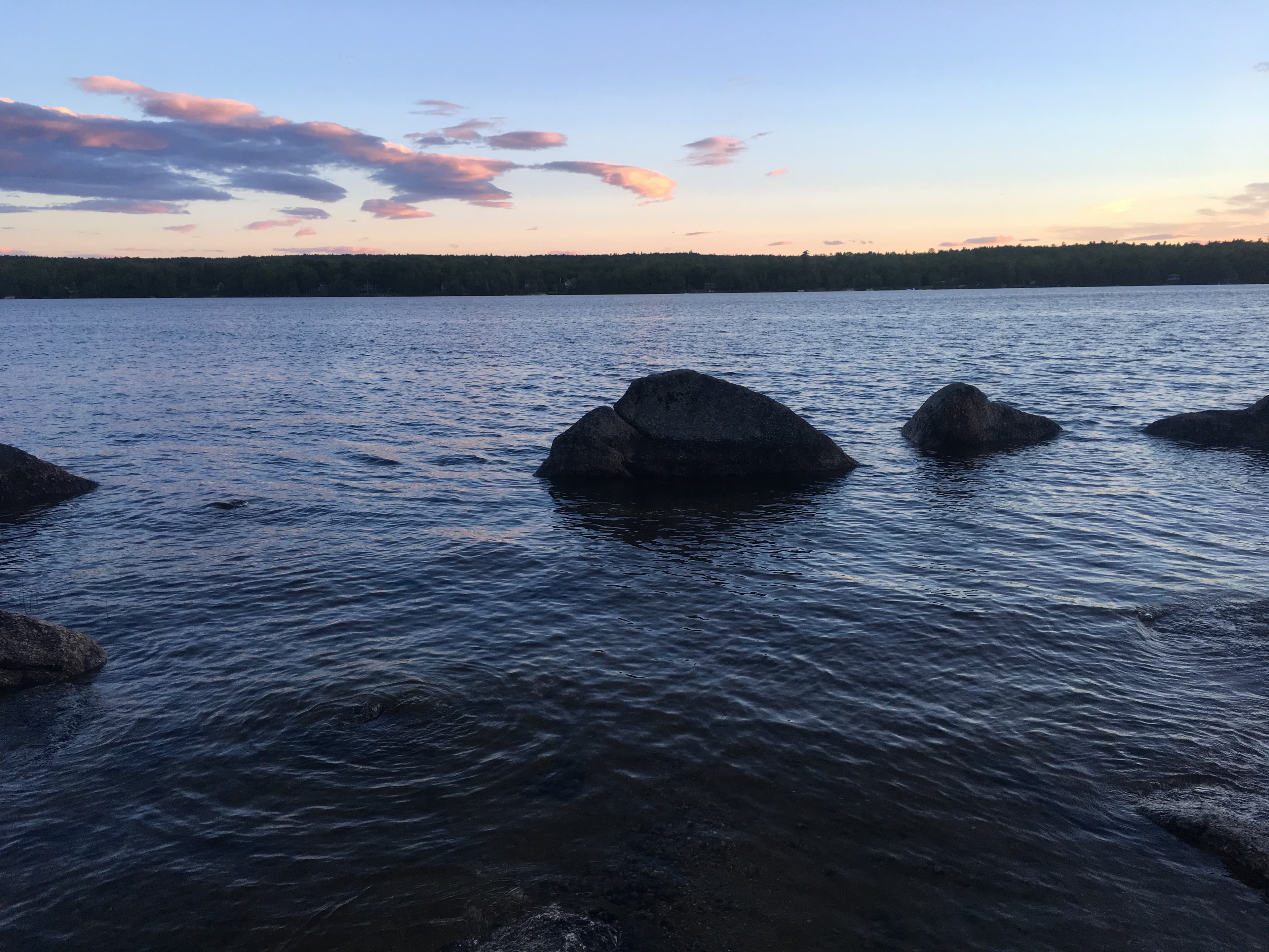 Sunset loons begin to call