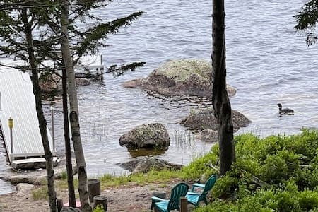 Morning Loons