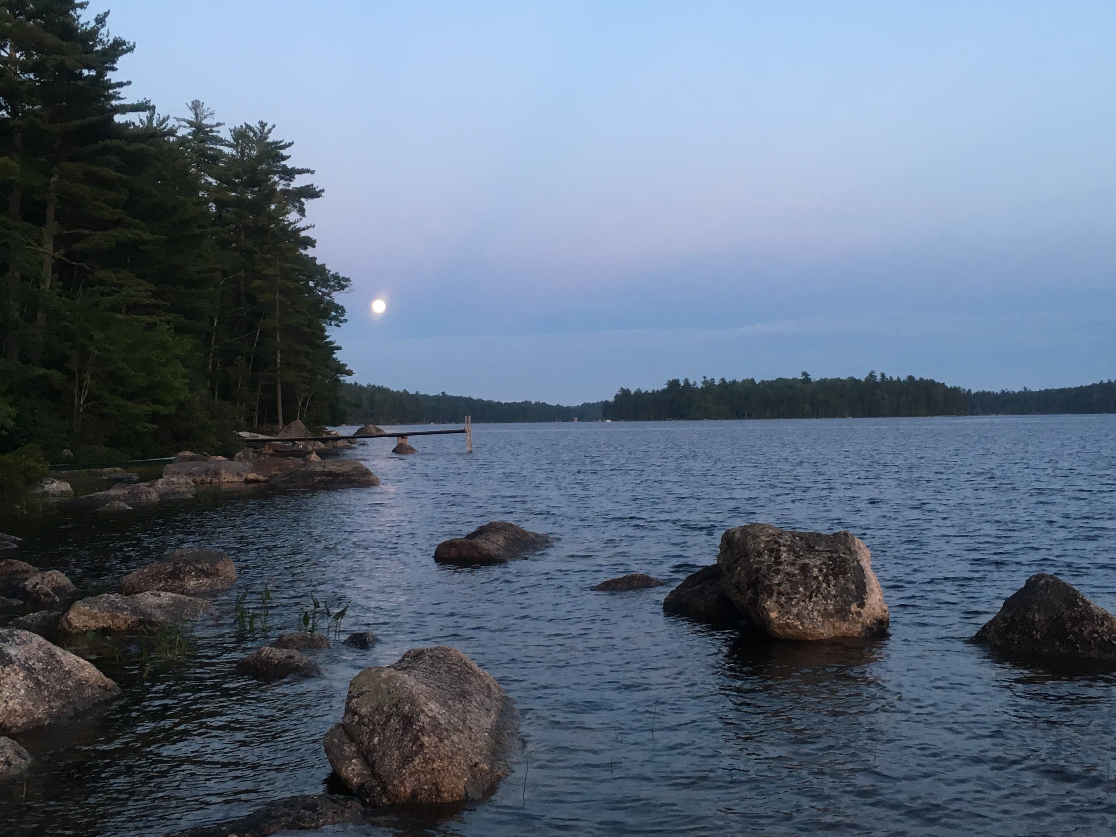 Moon lit nights