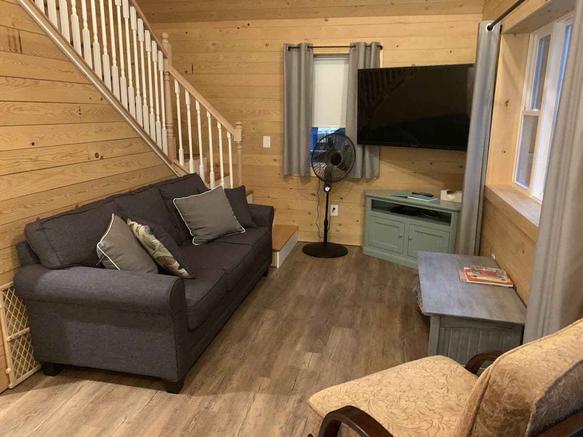 Living Room and a 55" flatscreen