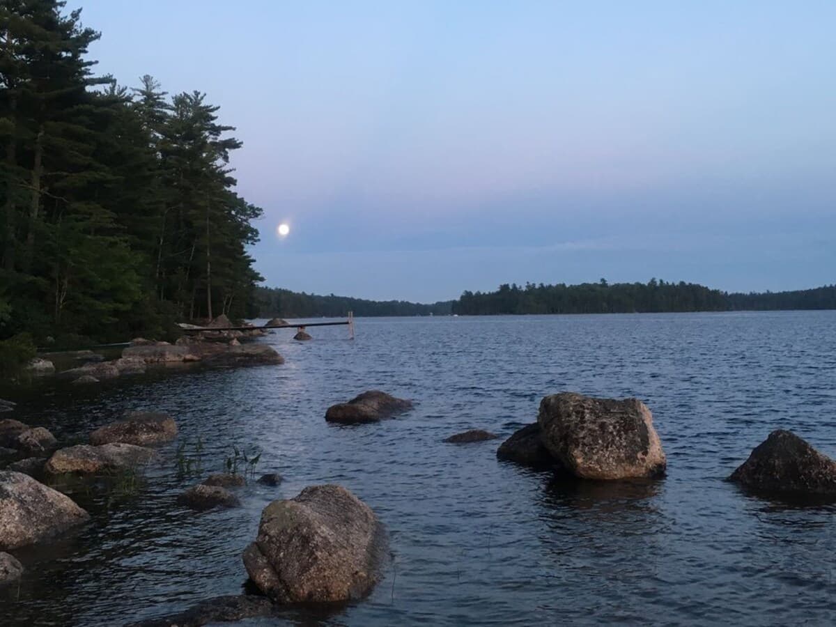 Moon lit nights
