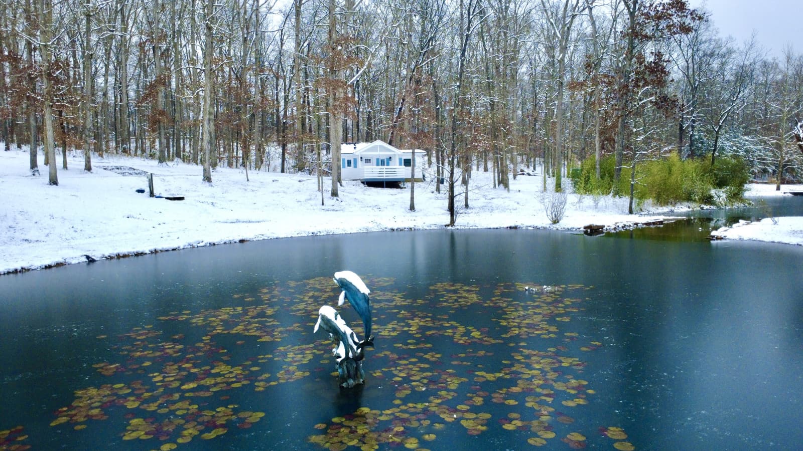 DJI_0217.jpeg