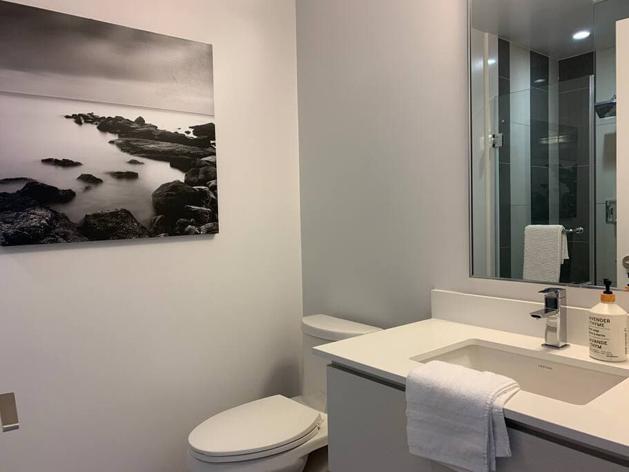 Guest washroom with stand up shower 