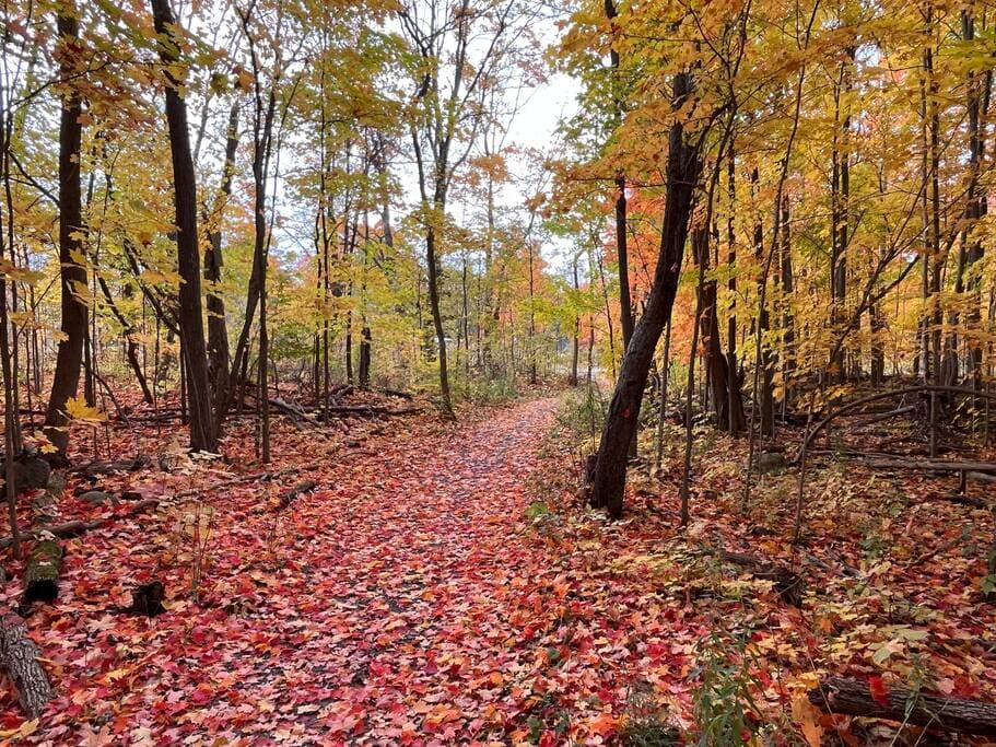 Fall Nature trails are breathtaking