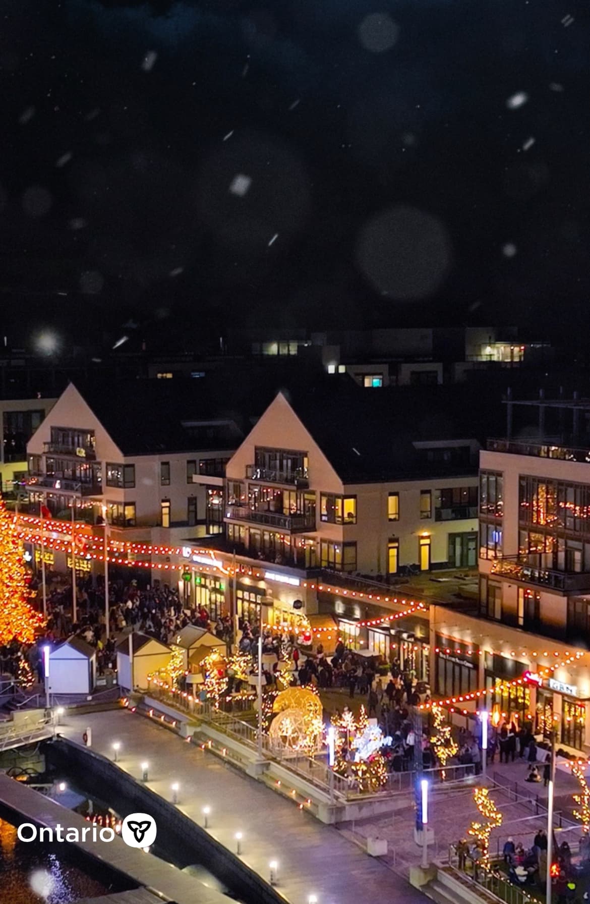 Romantic walks along the festive lit Boardwalk