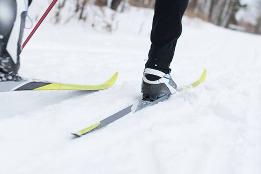 Cross Country Skiing Through the Nature trails