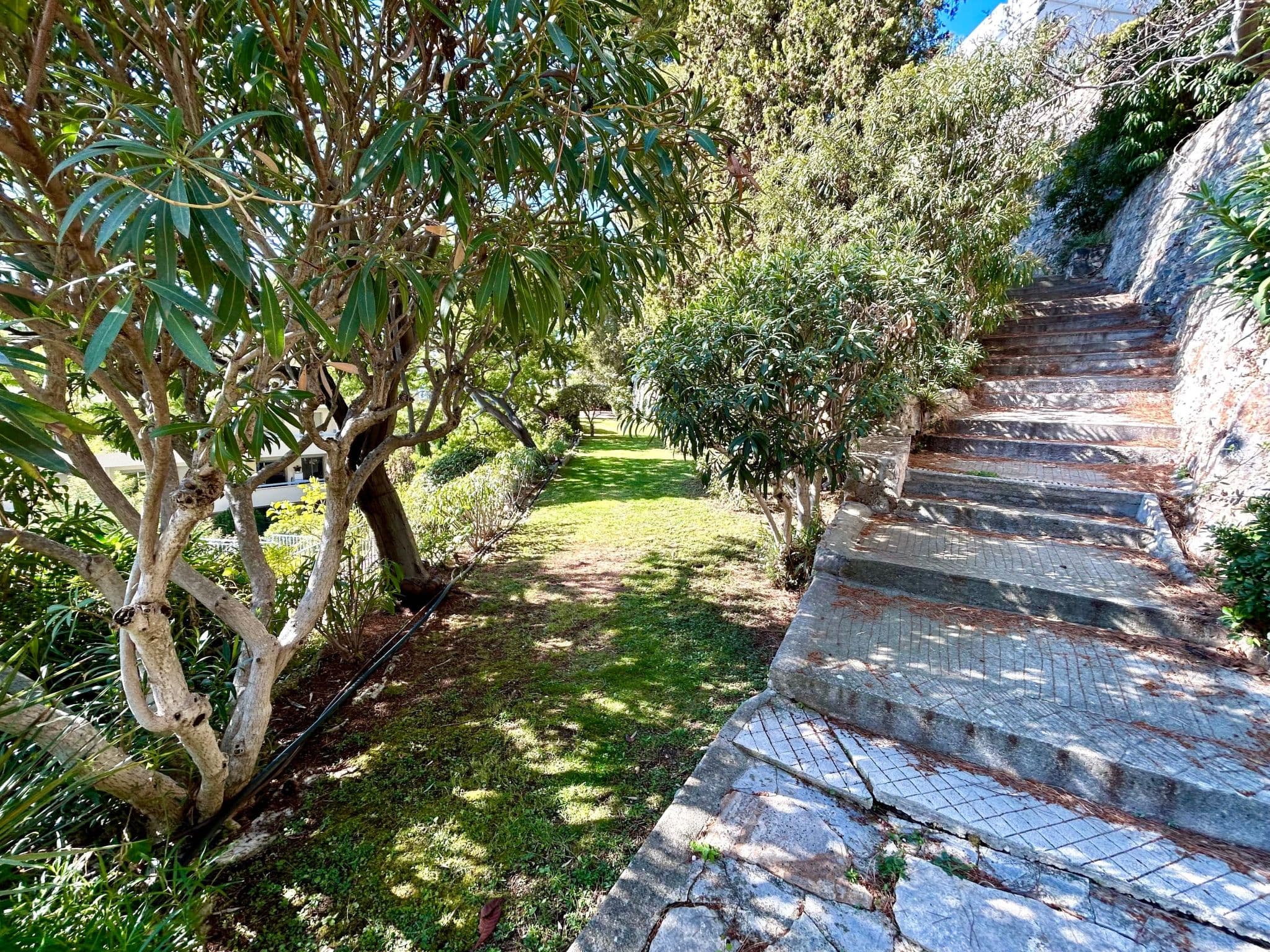 Gallery Image 20