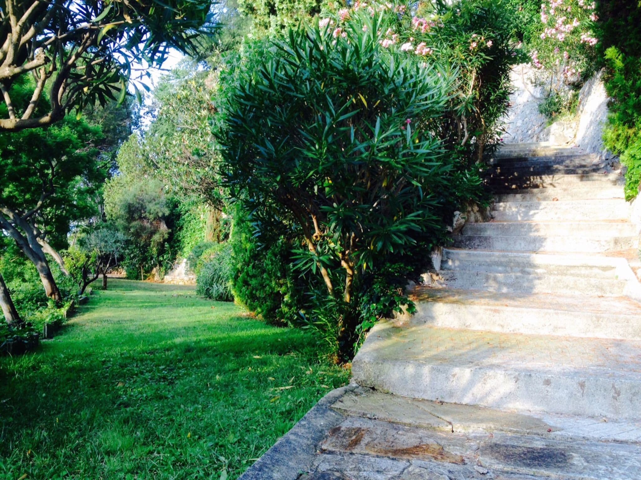 Gallery Image 18