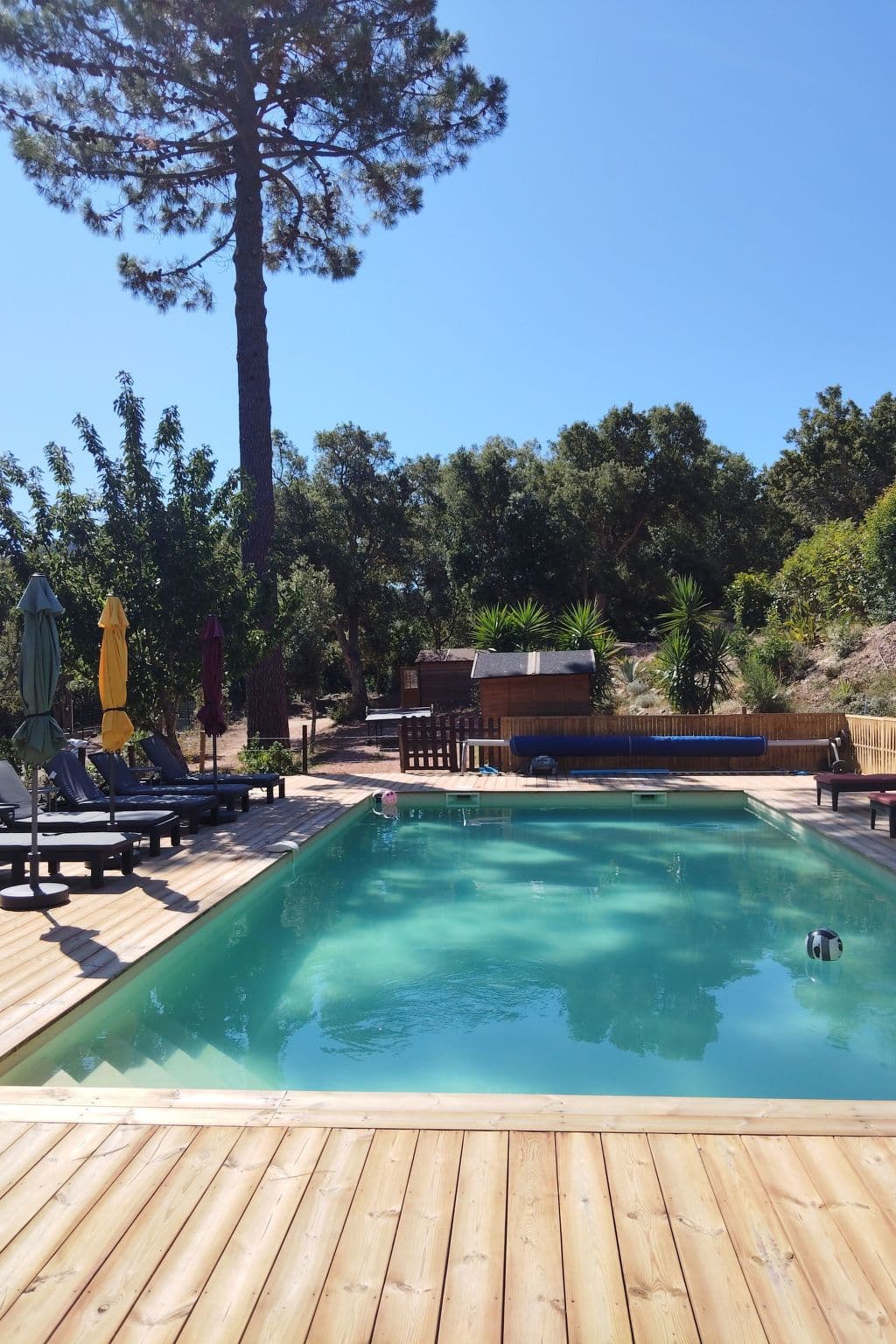 Pool Outdoor