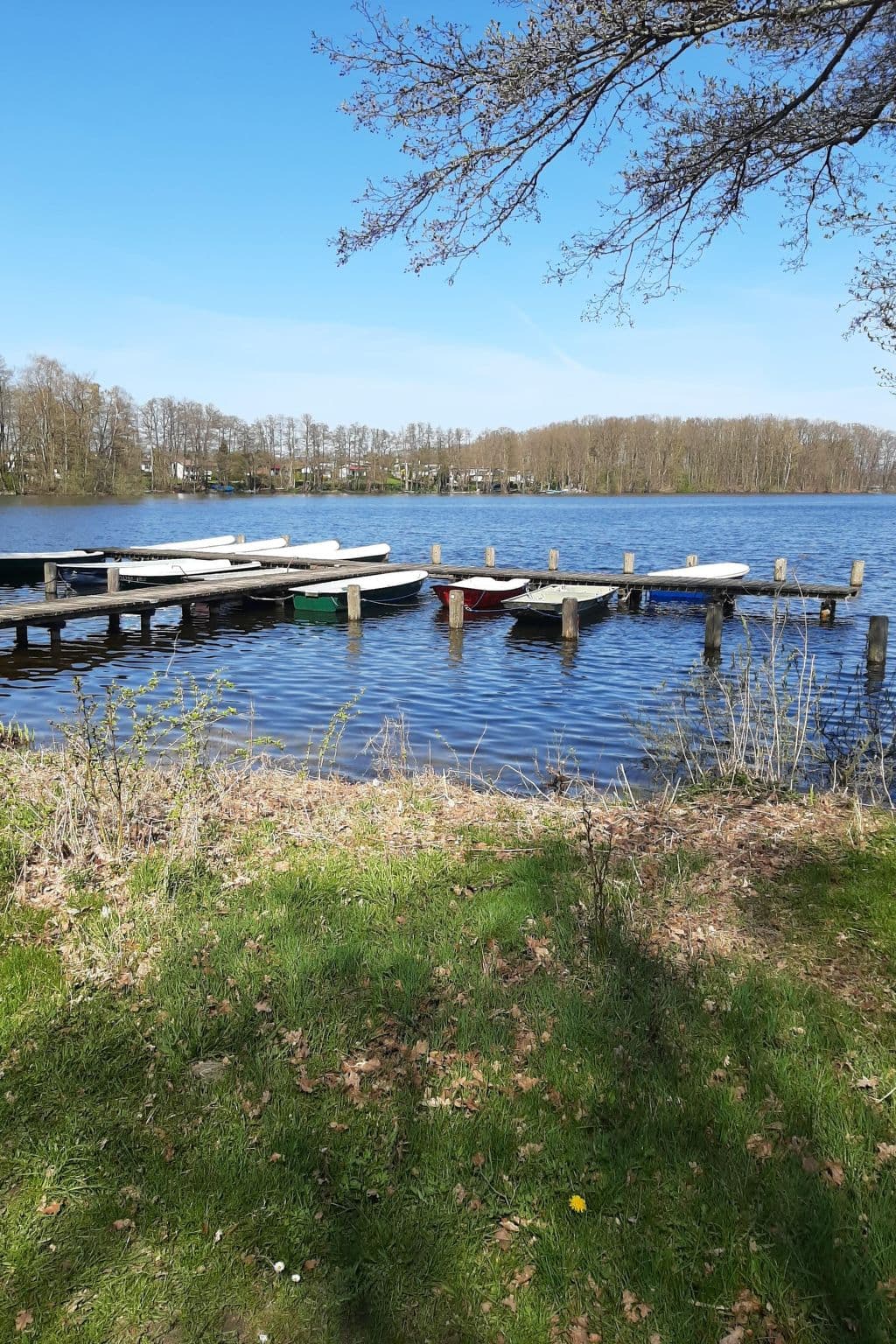 Gallery Image 36