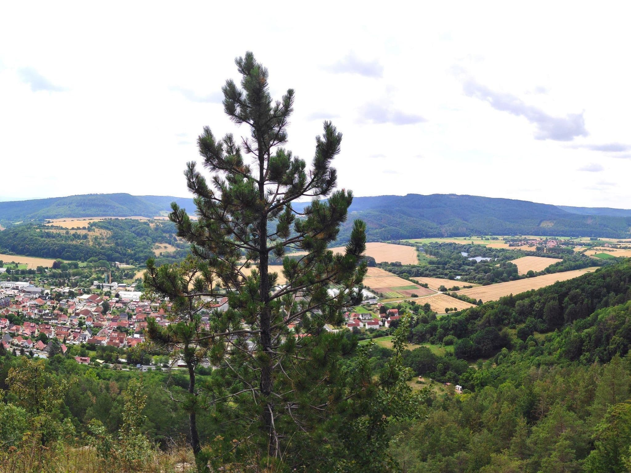 View