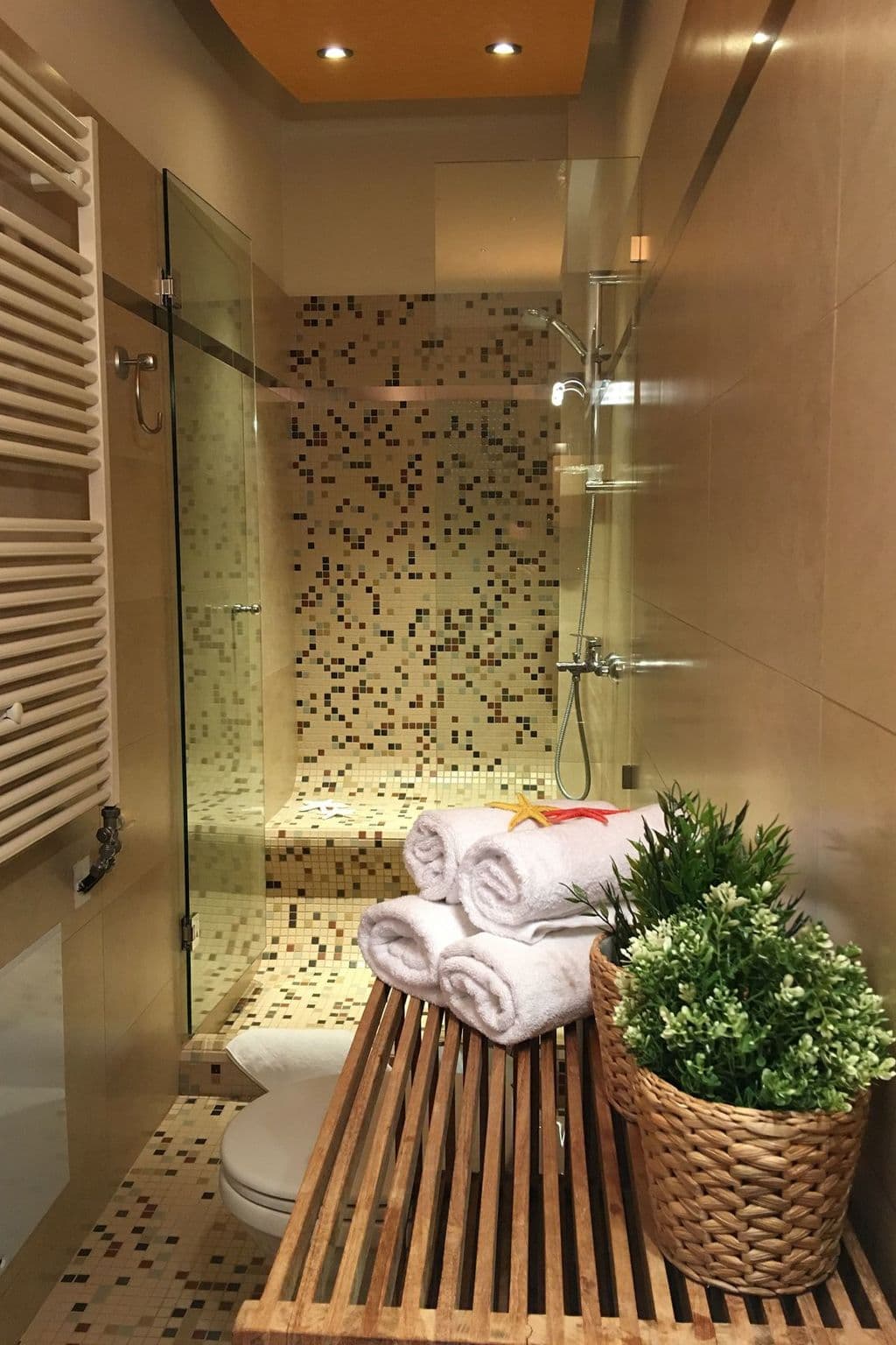Bathroom / Wellness