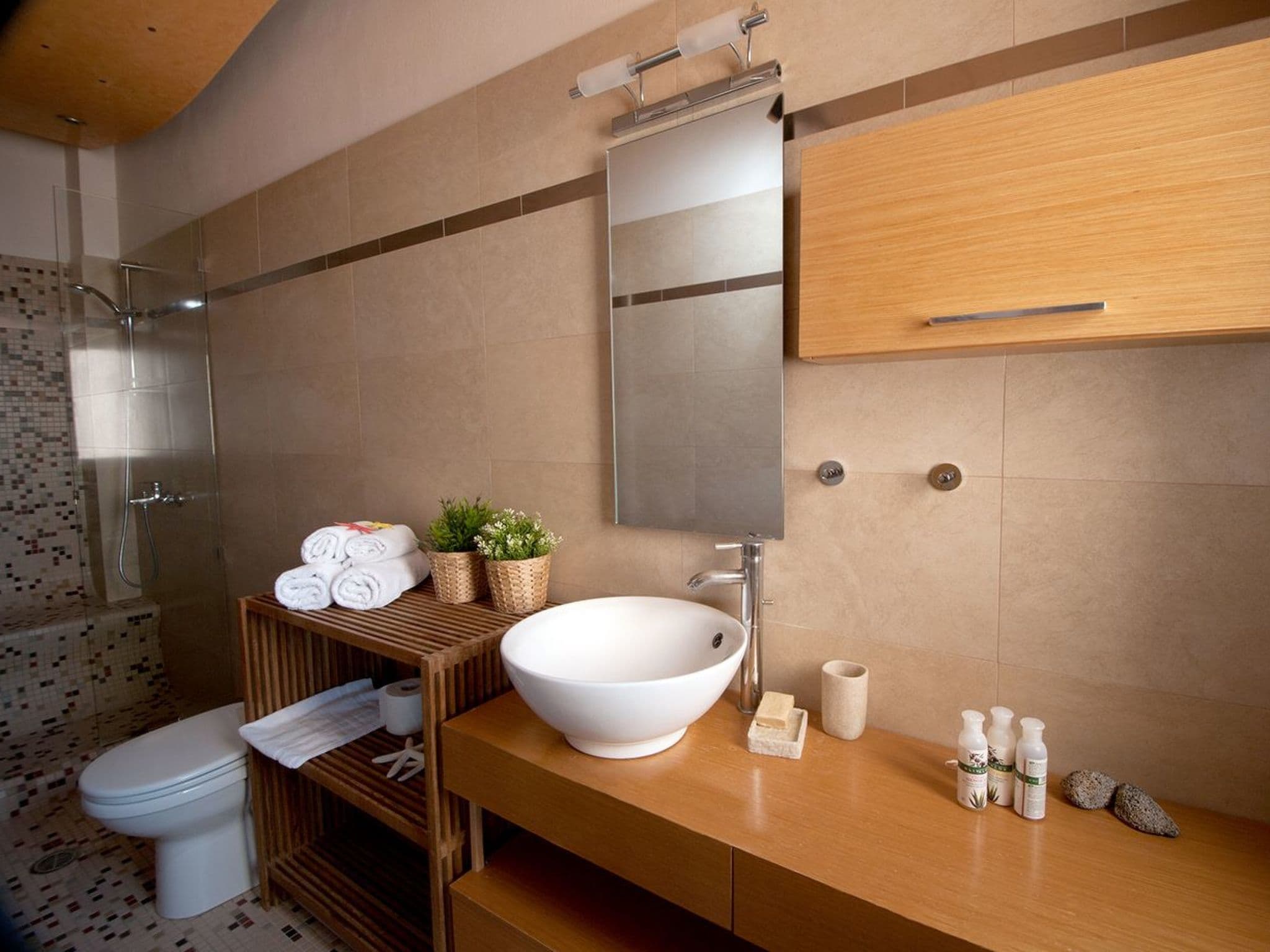 Bathroom / Wellness