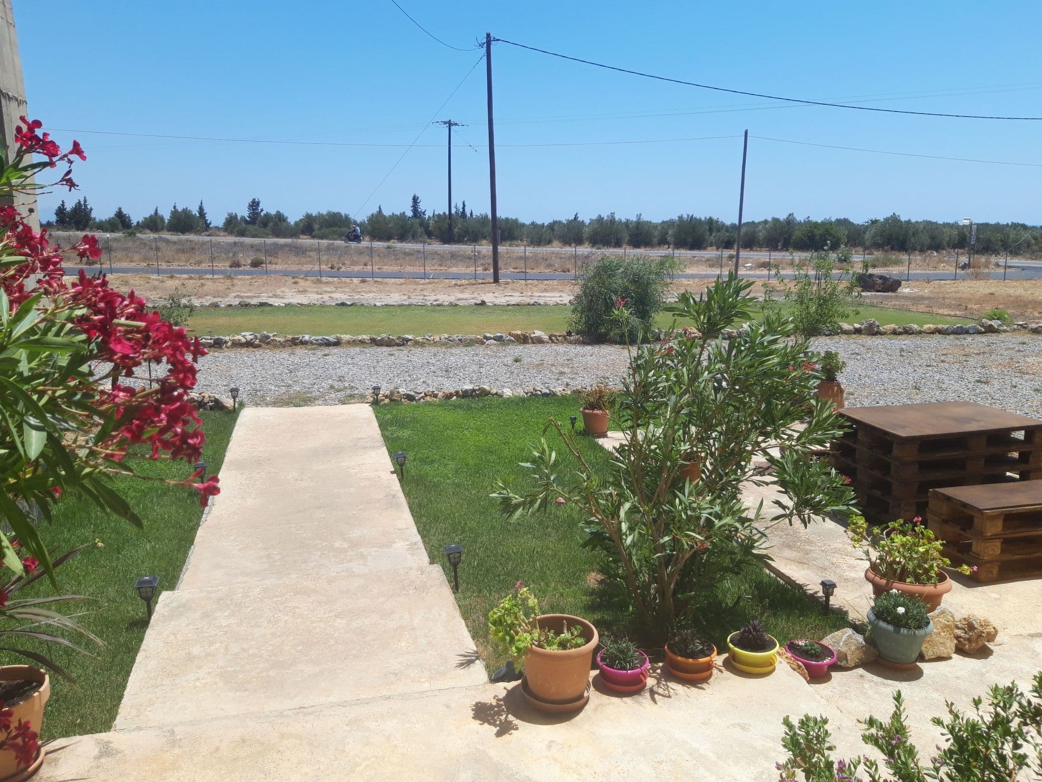 Gallery Image 31