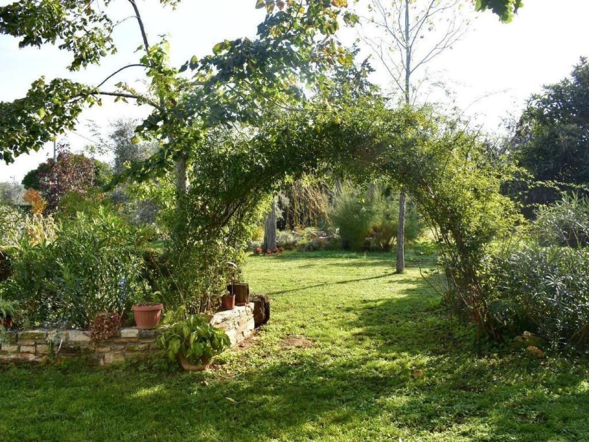 Gallery Image 26
