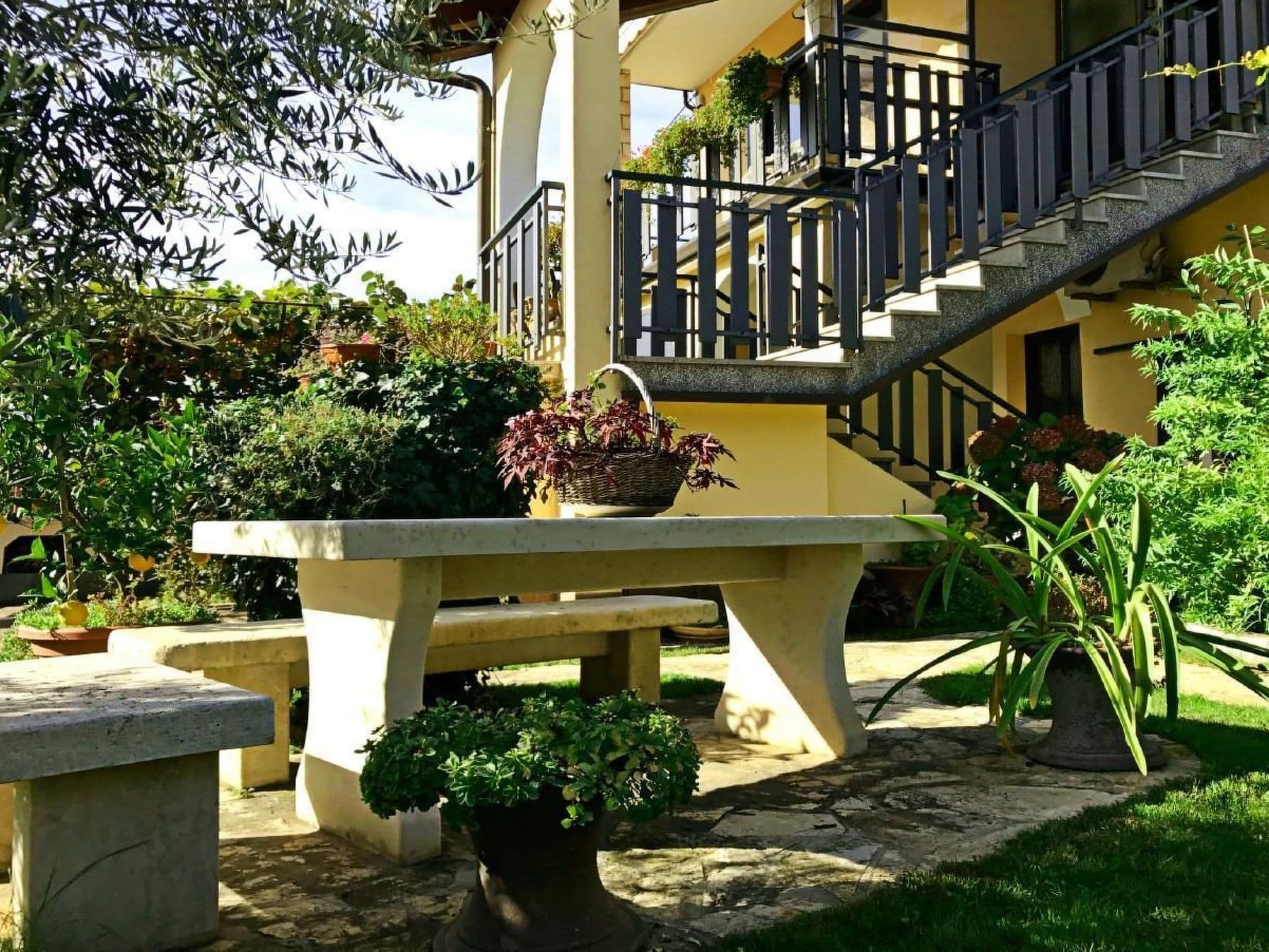 Gallery Image 26