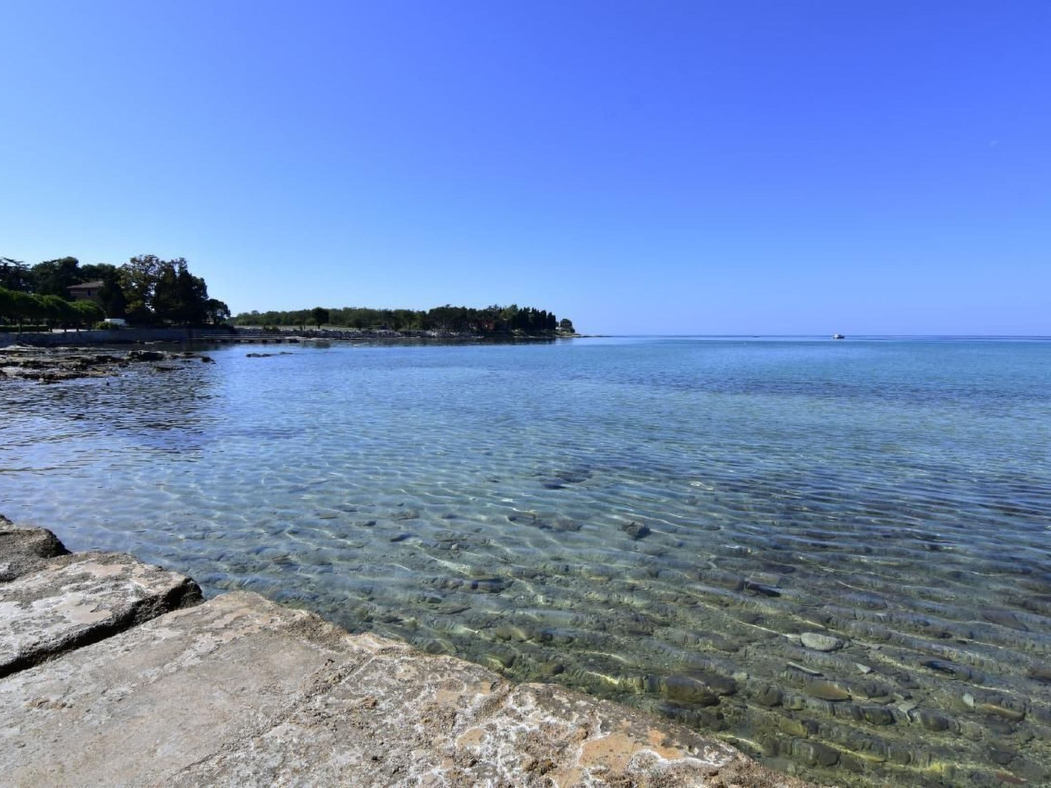 Gallery Image 39