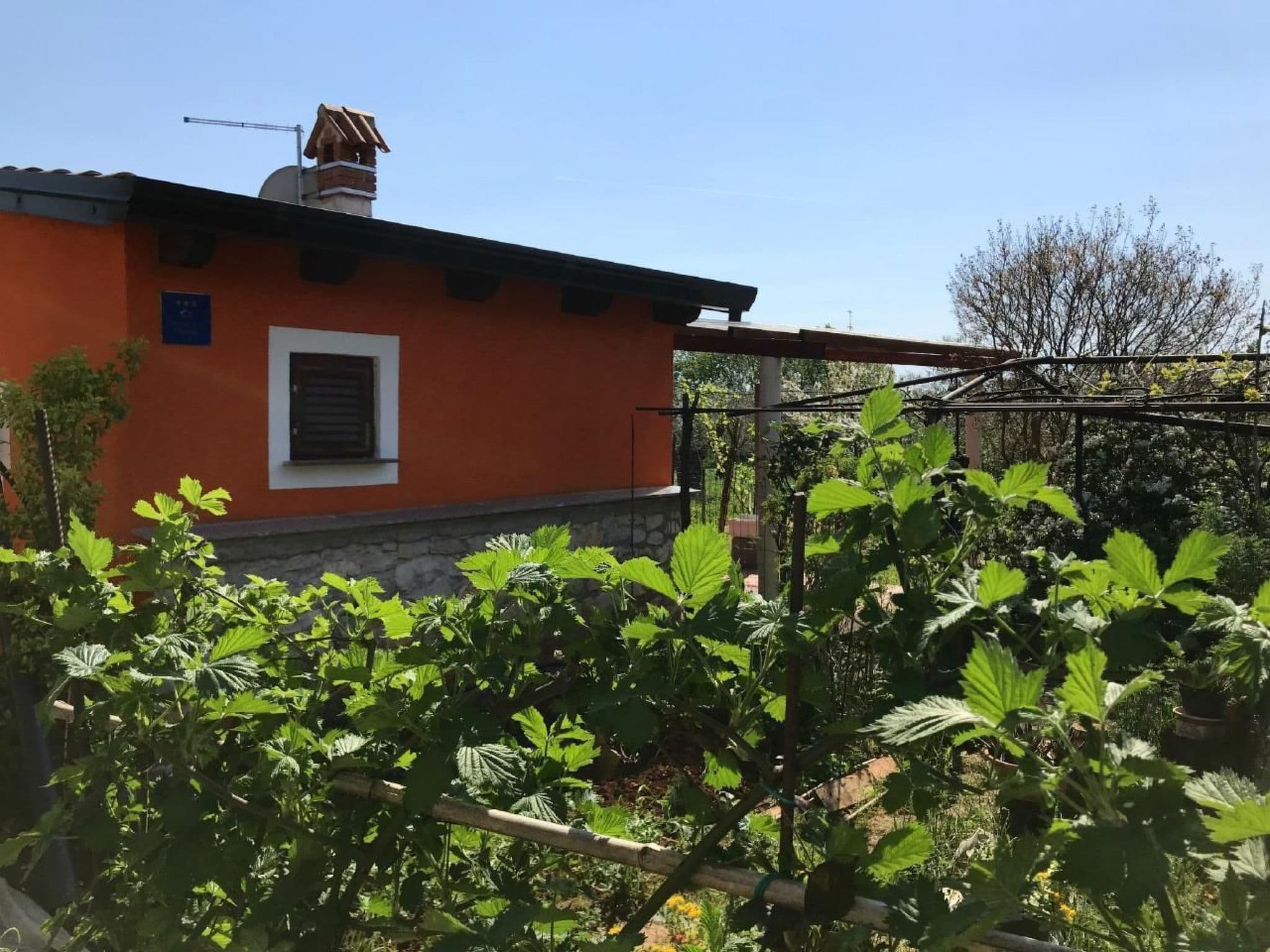 Gallery Image 19